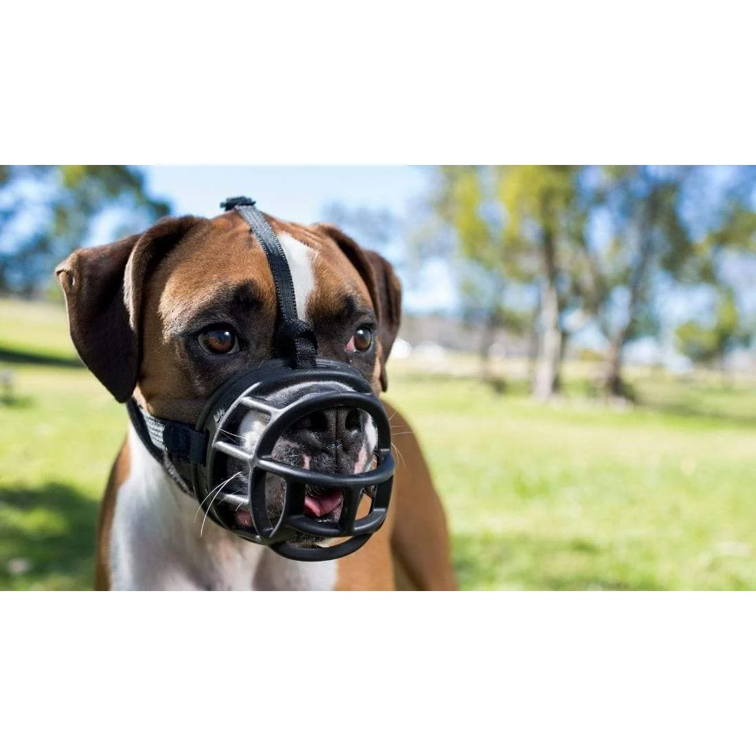 Company of Animals Baskerville Ultra Dog Muzzle Size 5 - Image 8