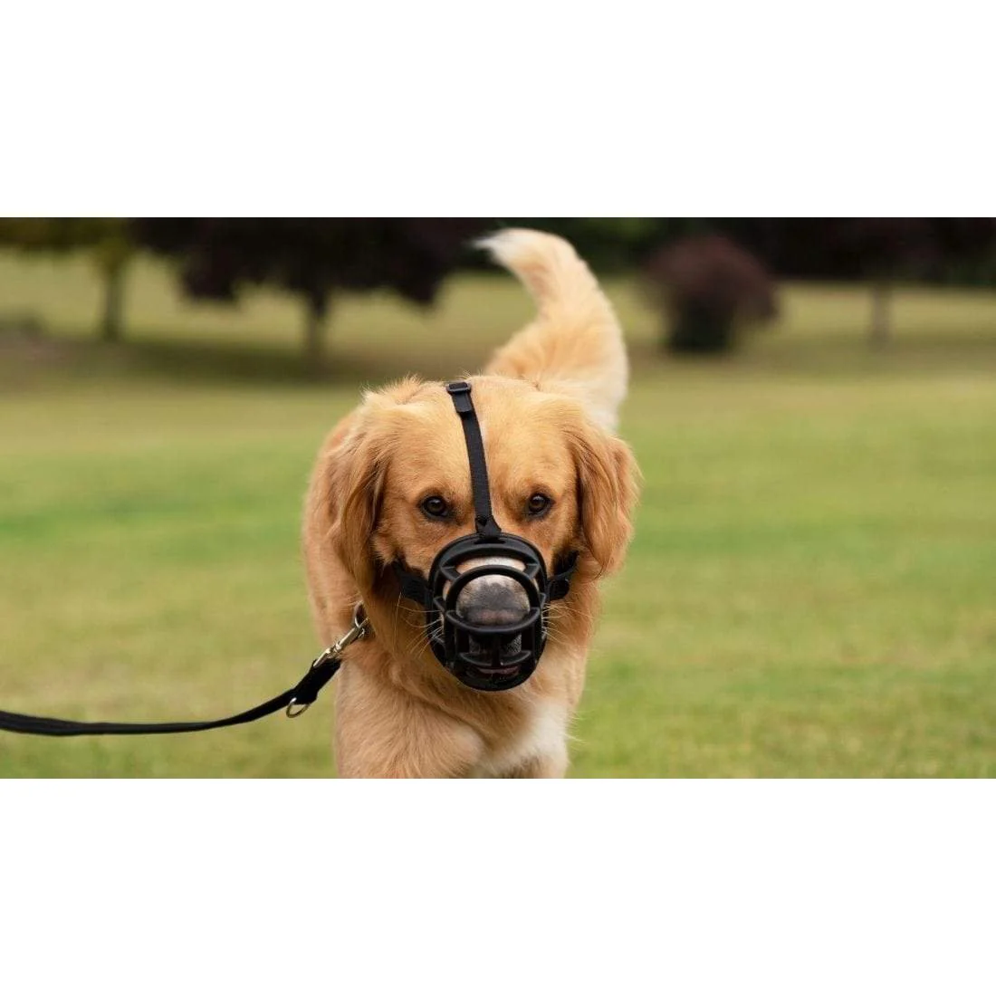 Company of Animals Baskerville Ultra Dog Muzzle Size 6 - Image 8