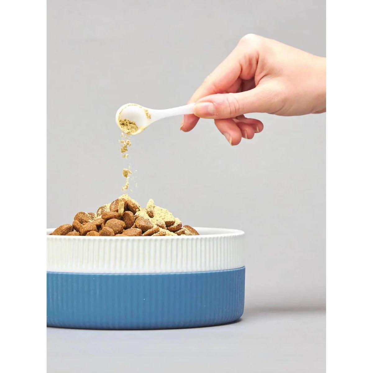 Field Day Digestion Support Wholefood Powder Supplement 220g - Image 4