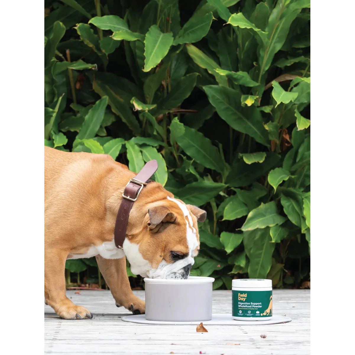 Field Day Digestion Support Wholefood Powder Supplement 220g - Image 5