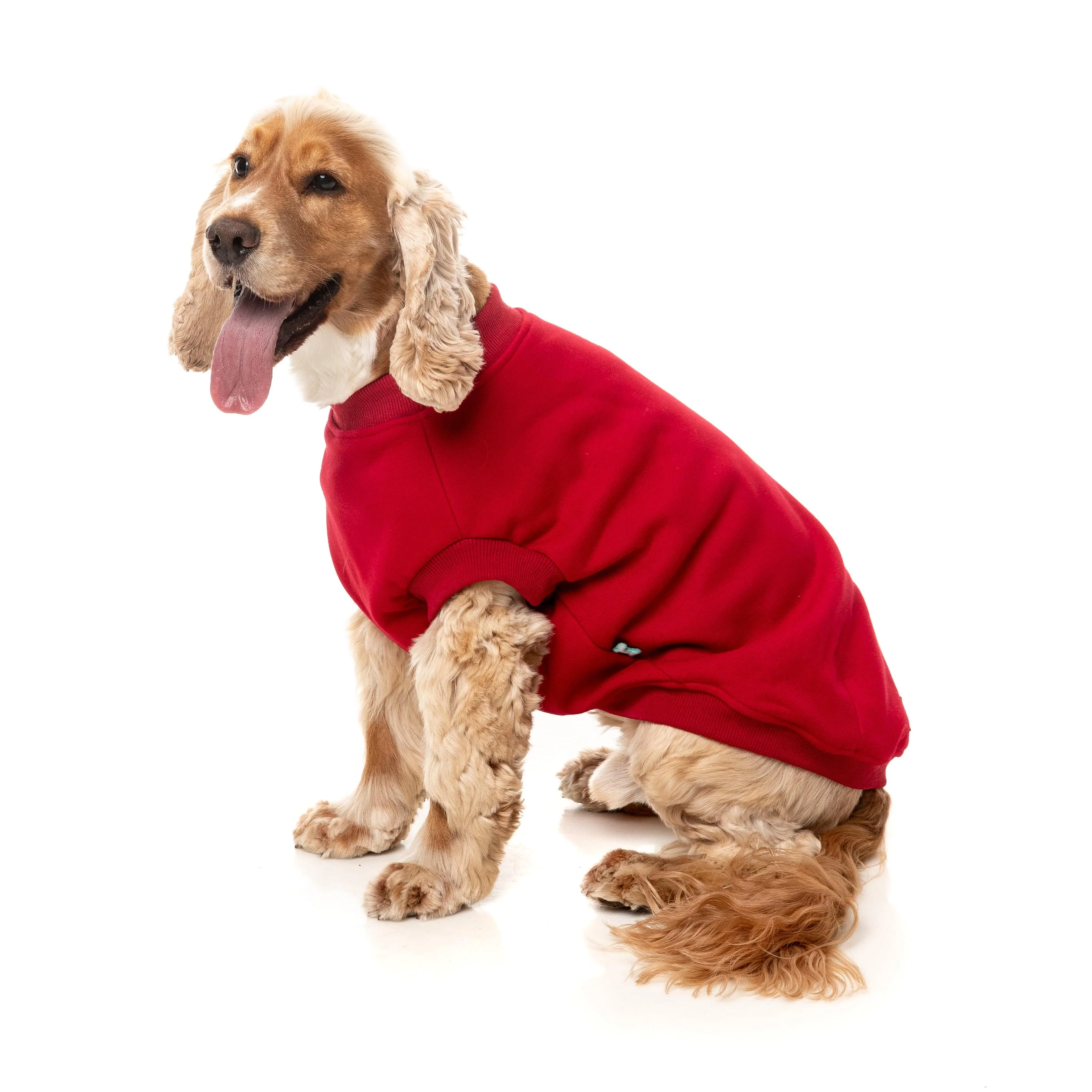 FuzzYard Dog Apparel Allday 25 Sweater Red Size 1 *** - Image 3