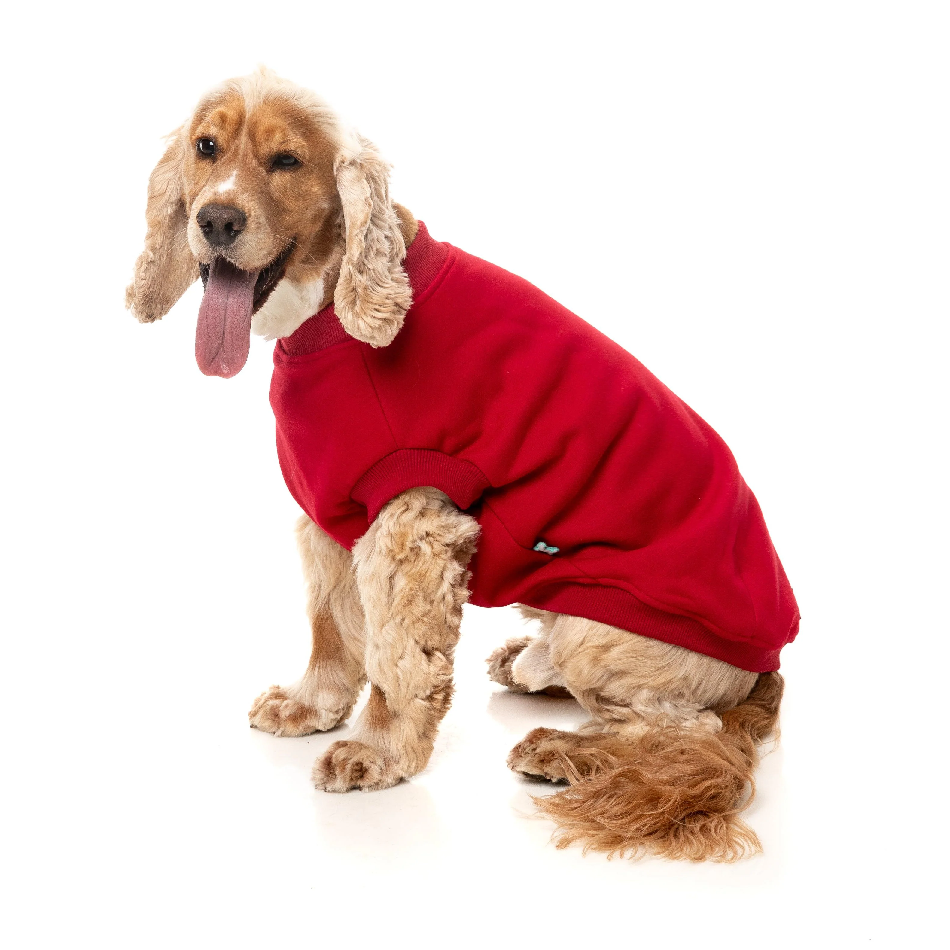 FuzzYard Dog Apparel Allday 25 Sweater Red Size 1 *** - Image 4