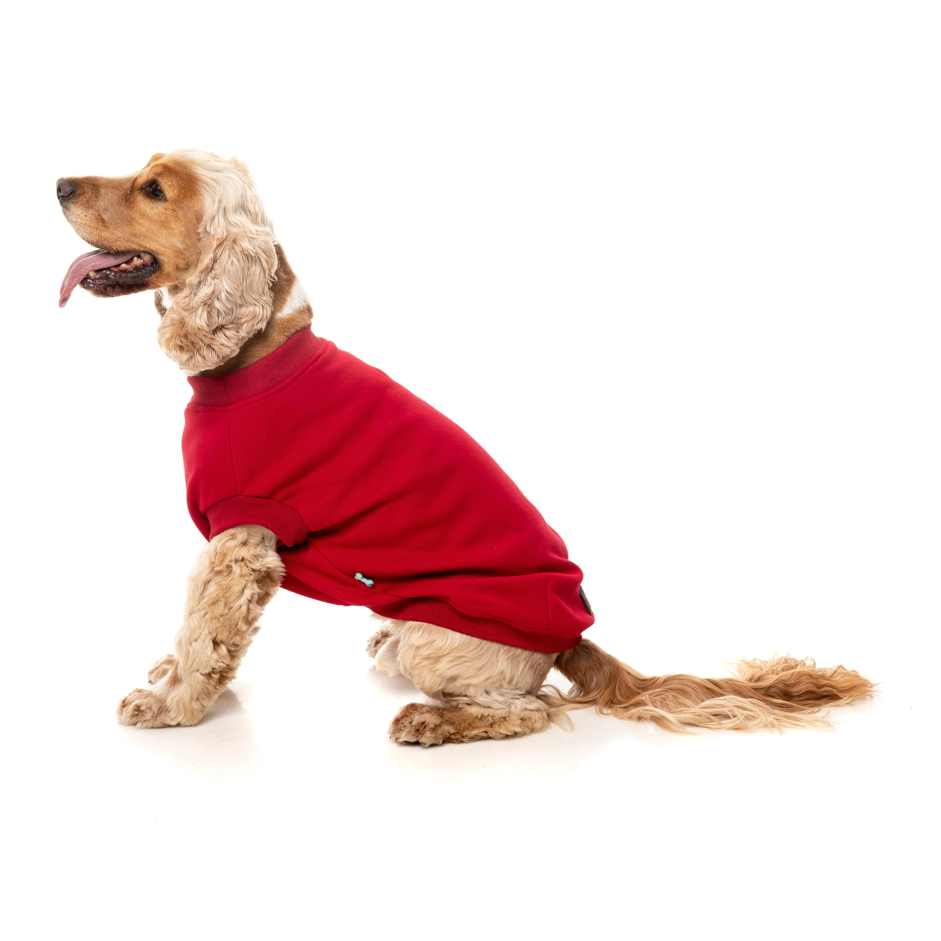 FuzzYard Dog Apparel Allday 25 Sweater Red Size 1 *** - Image 6