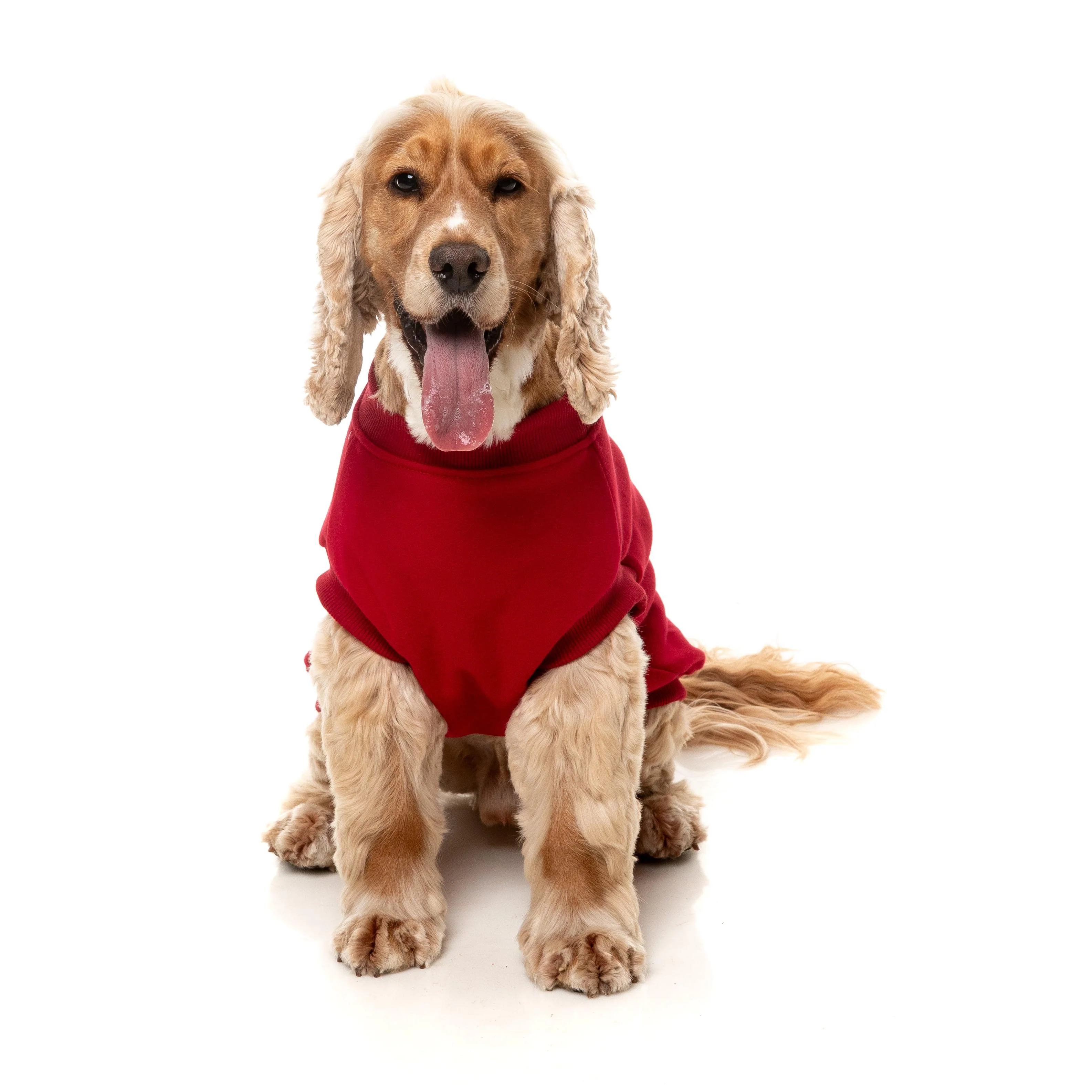 FuzzYard Dog Apparel Allday 25 Sweater Red Size 2 ^+^ - Image 5