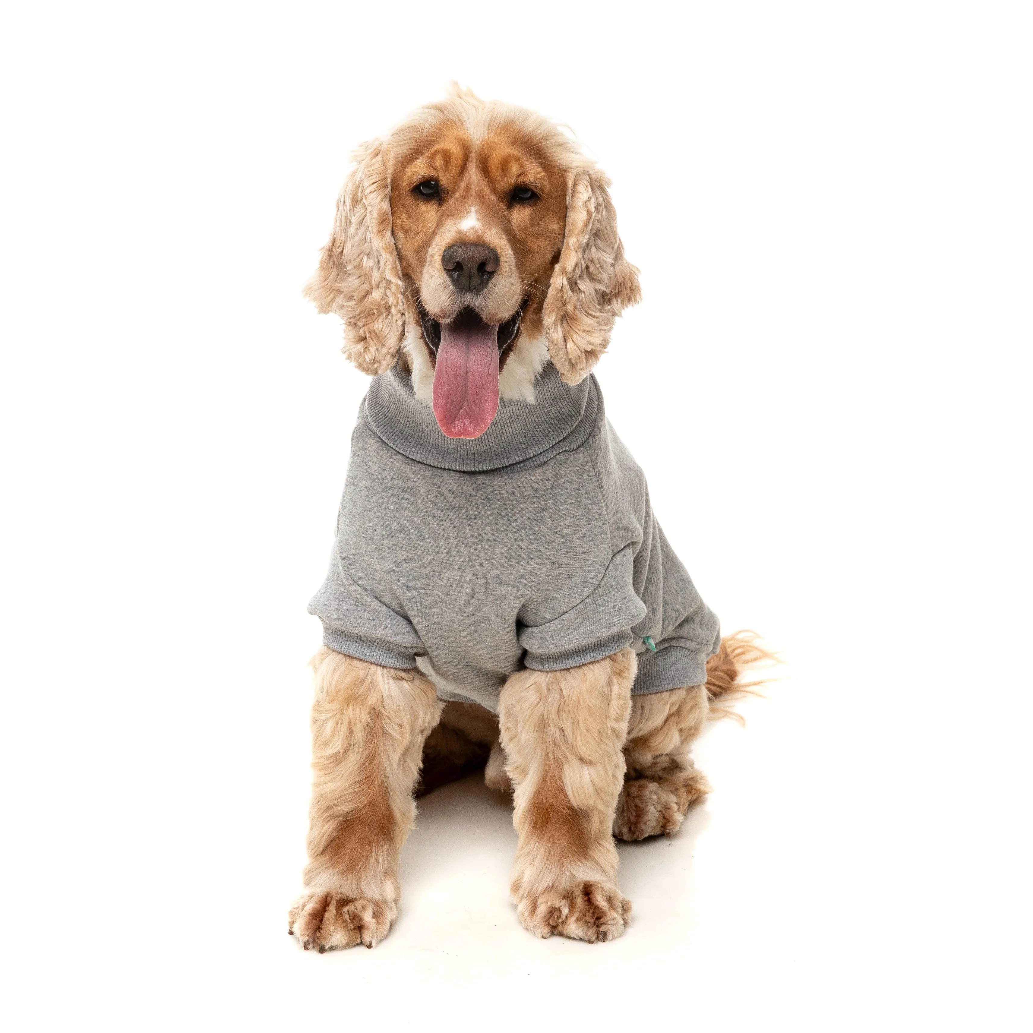 FuzzYard Dog Apparel Stevie 25 Sweater Grey Size 2 ^+^ - Image 6