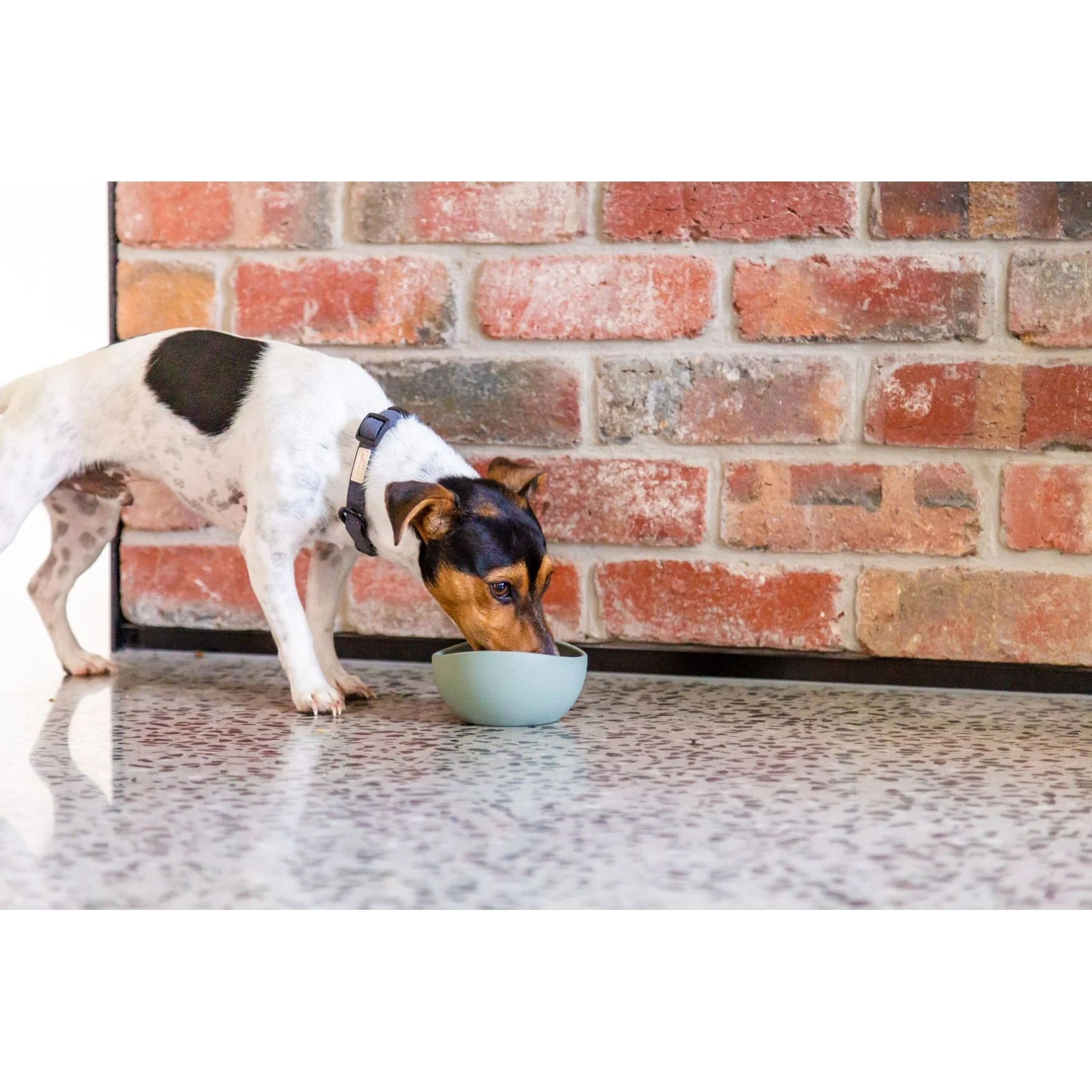 FuzzYard Life Silicone Dog Bowl Myrtle Green Large - Image 4