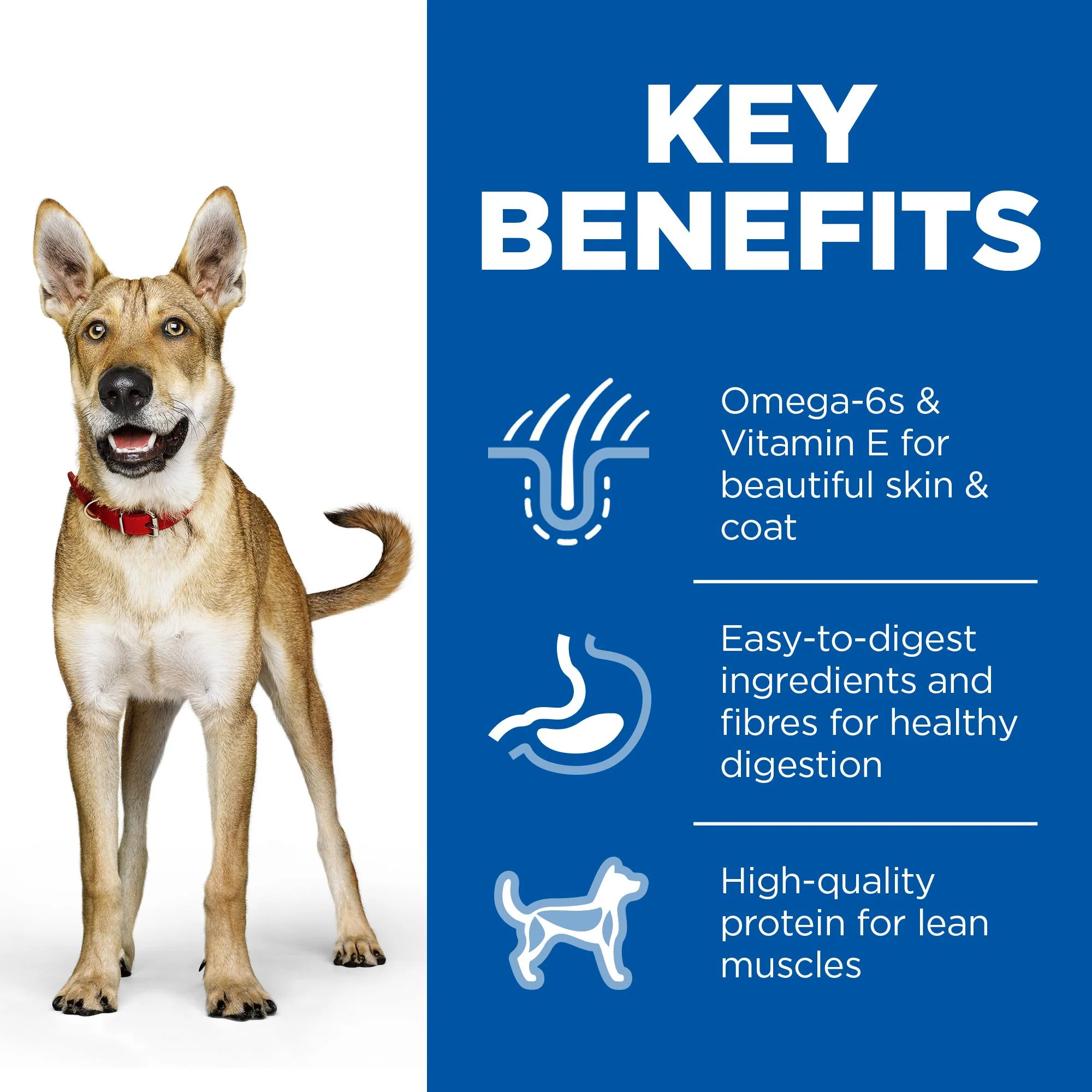 Hills Science Diet Adult Chicken and Barley Canned Dog Food 370g x 12 - Image 5