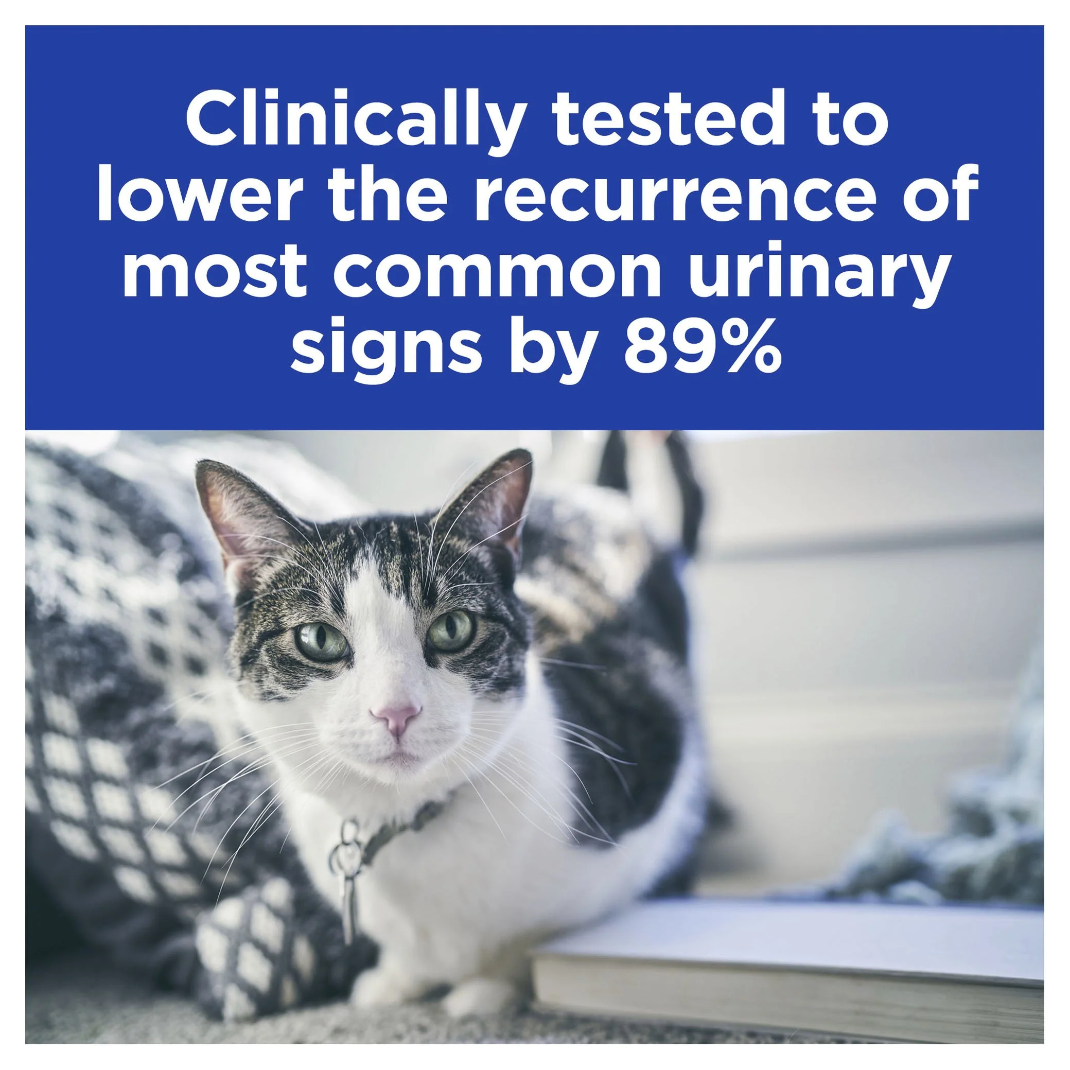 Hills Prescription Diet Cat c/d Multicare Urinary Care Dry Cat Food 6kg - Image 3