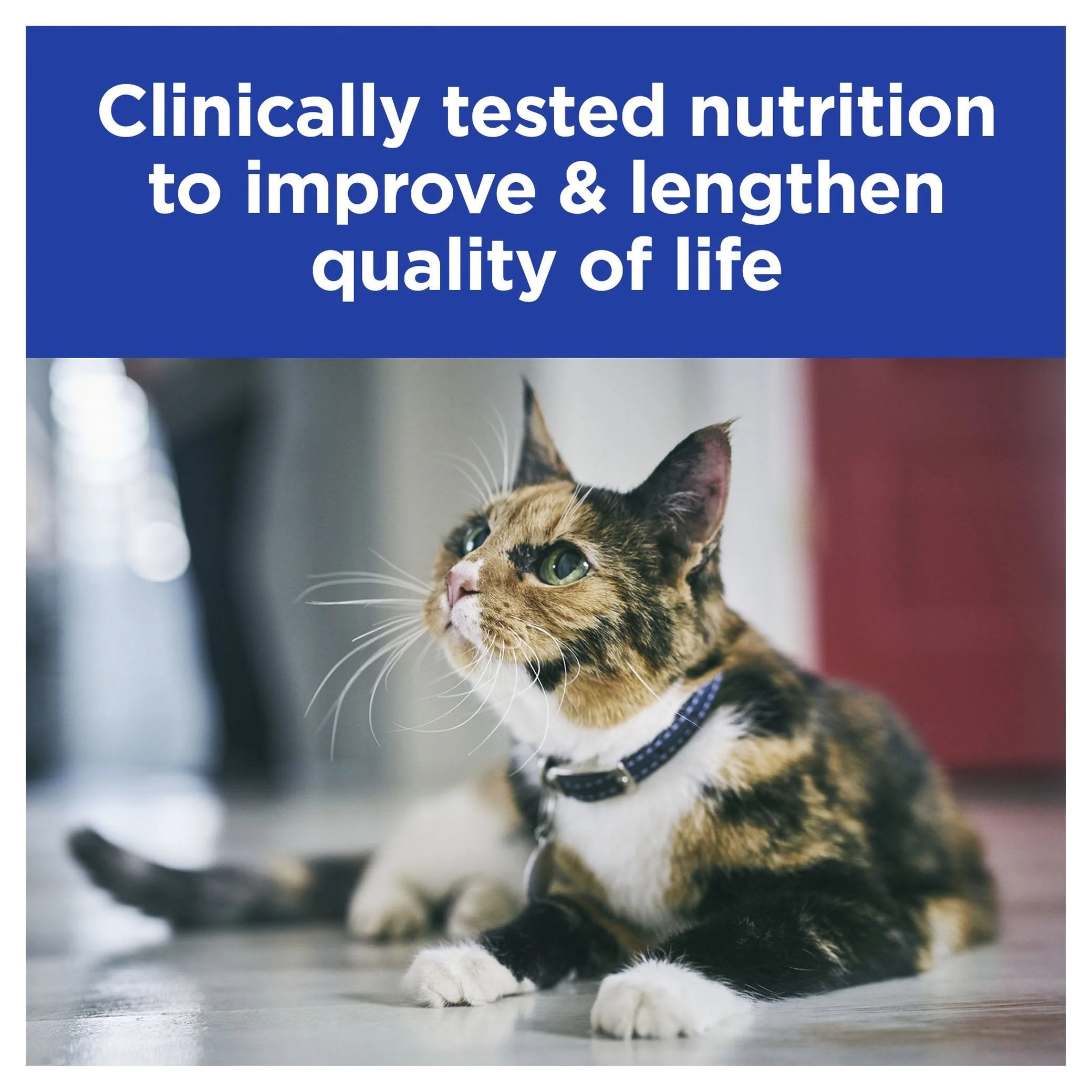 Hills Prescription Diet Cat k/d Kidney Care Dry Food 1.8kg - Image 3