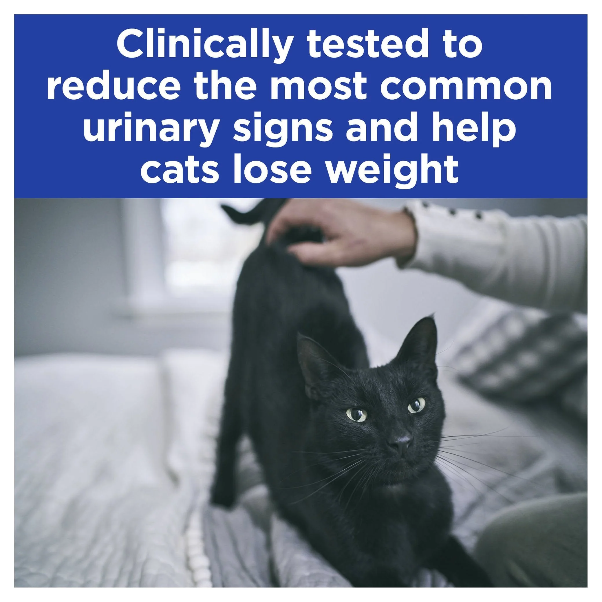 Hills Prescription Diet Cat Urinary Stress Weight and Urinary Care + Metabolic Chicken Wet Food Pouches 85g x 12 - Image 5