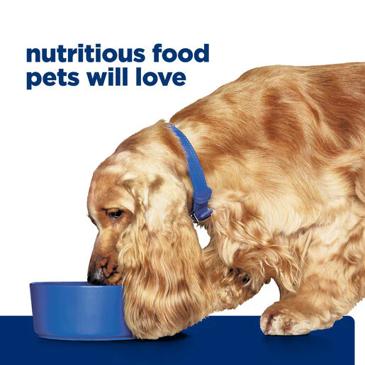 Hills Prescription Diet Dog z/d Skin/Food Sensitivities Original Wet Food 370g x 12 - Image 14