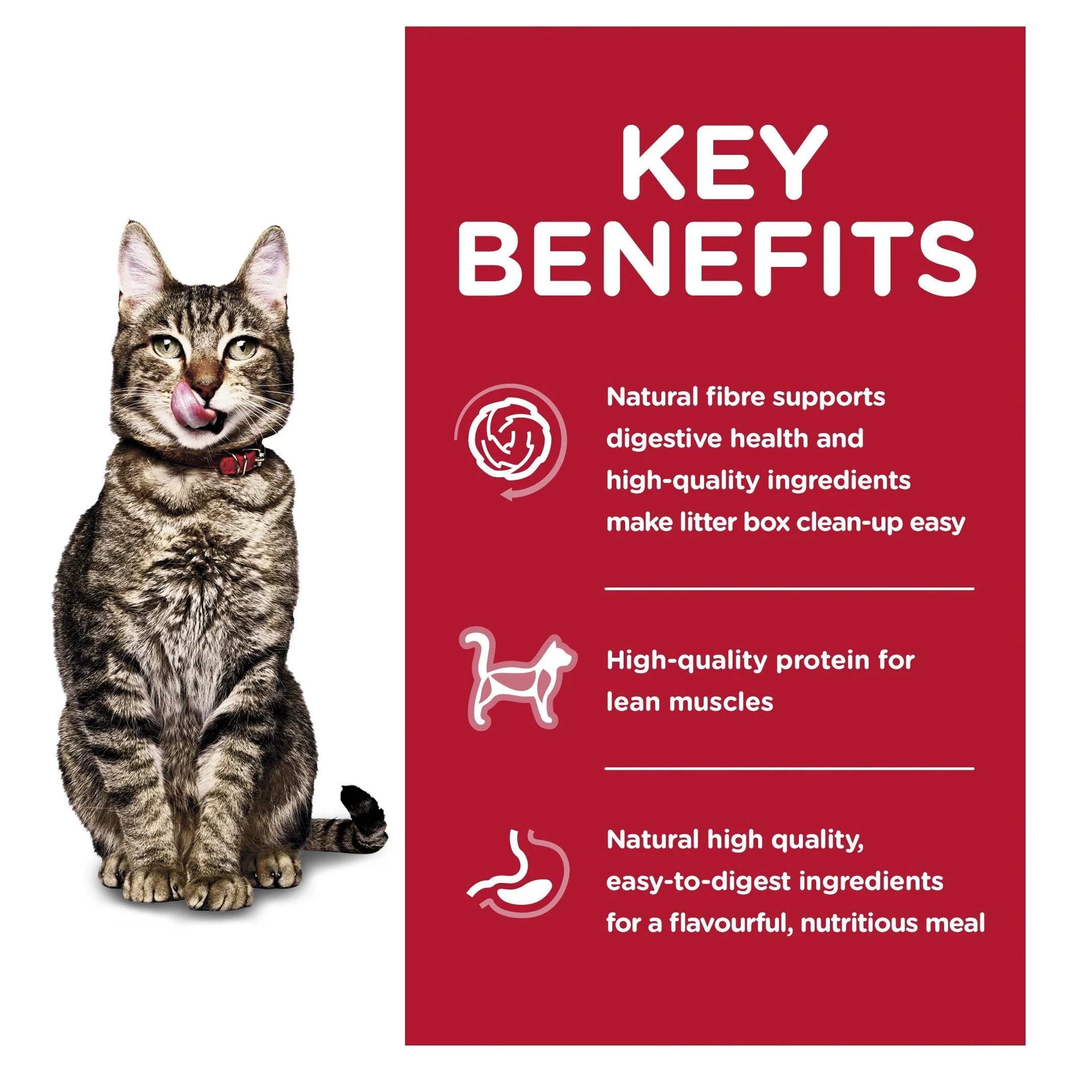 Hills Science Diet Indoor Adult 7+ Dry Cat Food 3.17kg - Image 3