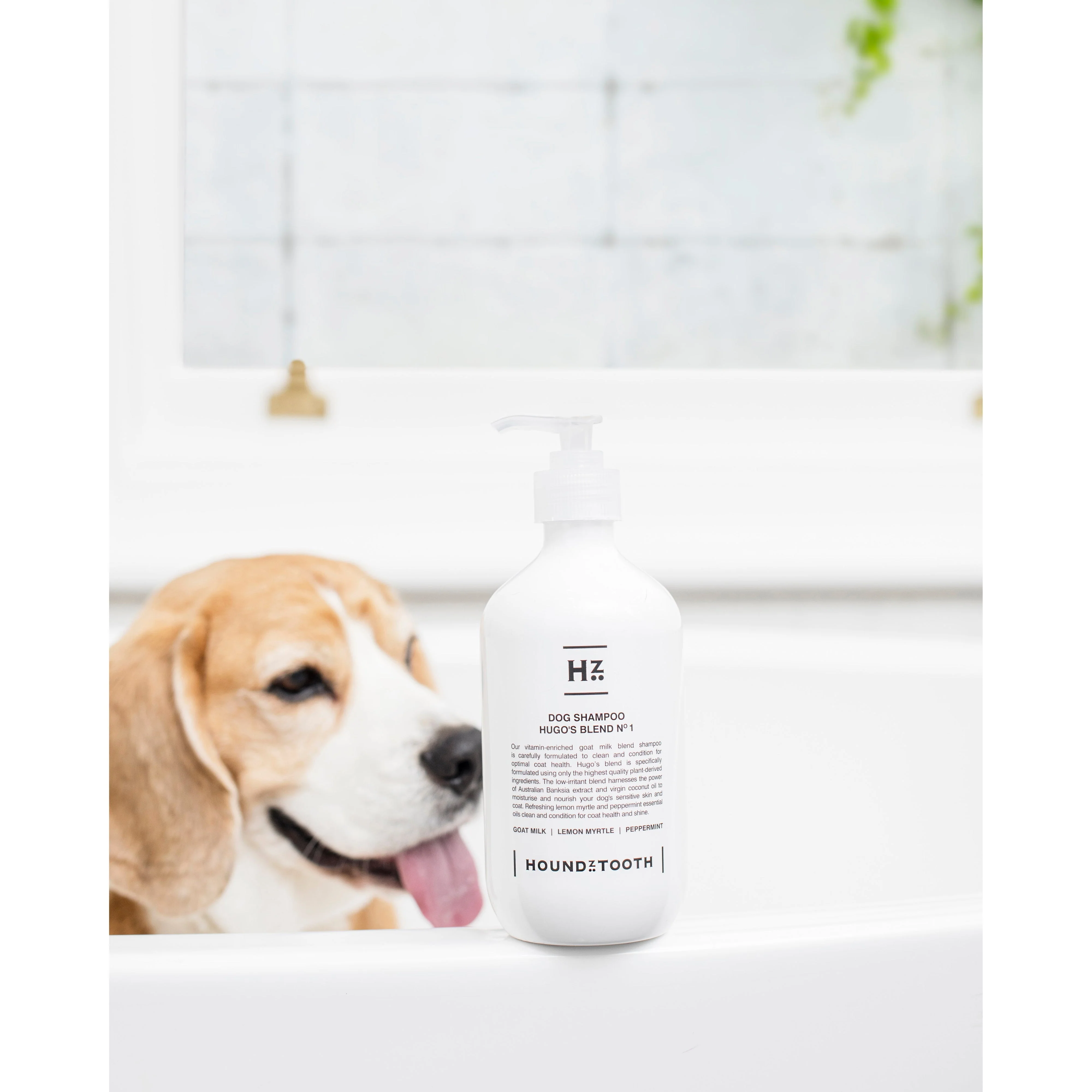 Houndztooth Hugos Blend No.1 Goat Milk Dog Shampoo 500ml - Image 4