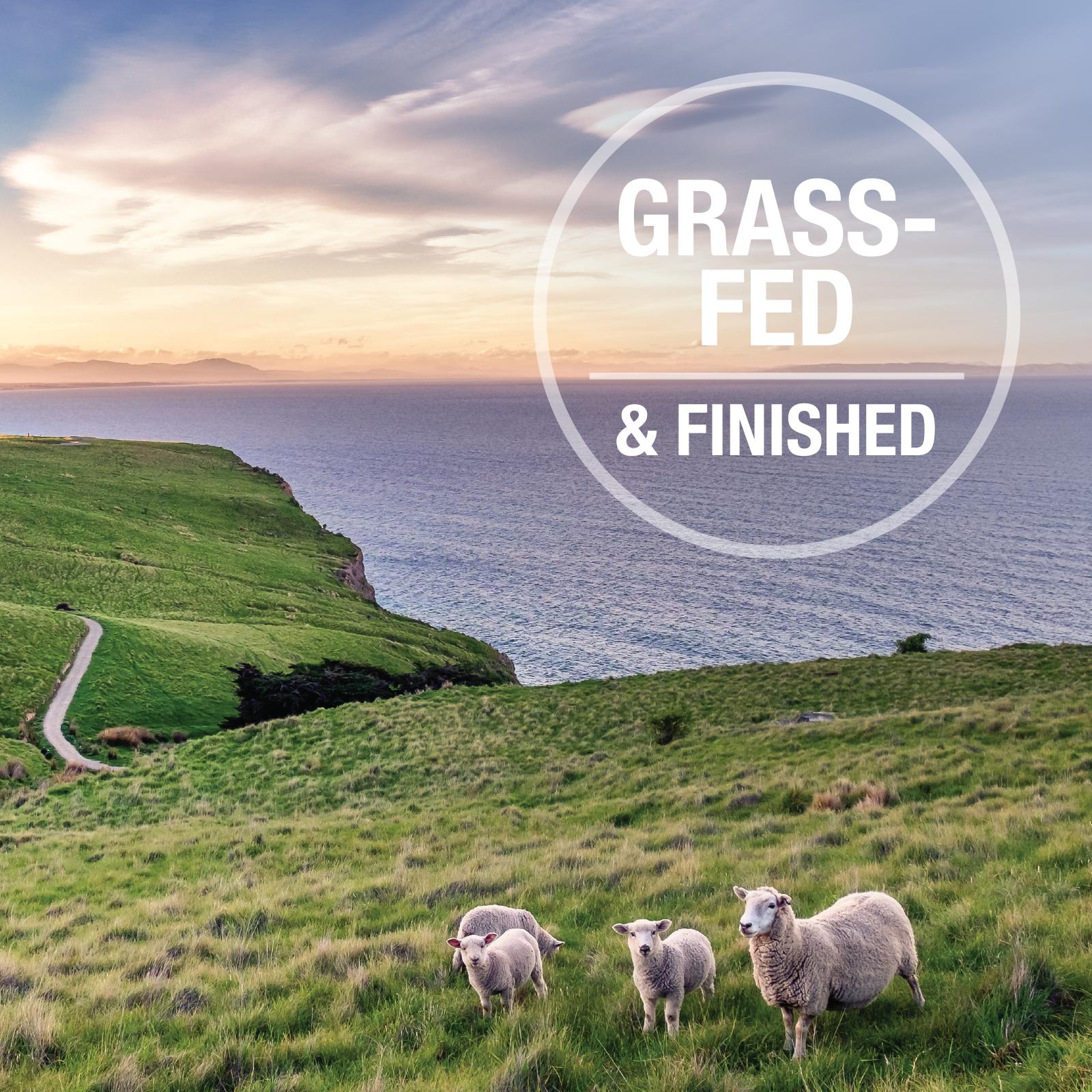 K9 Natural Lamb Feast Wet Dog Food 170g - Image 6