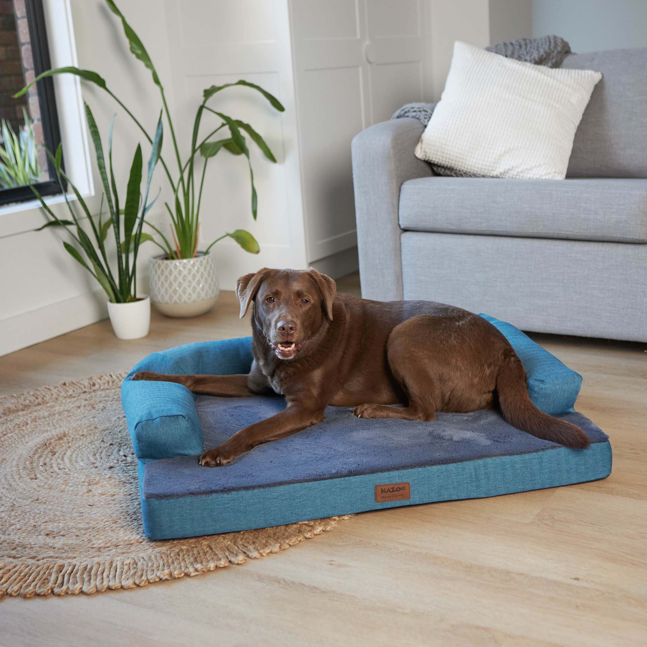 Kazoo Boudoir Medium Teal Dog Bed - Image 3