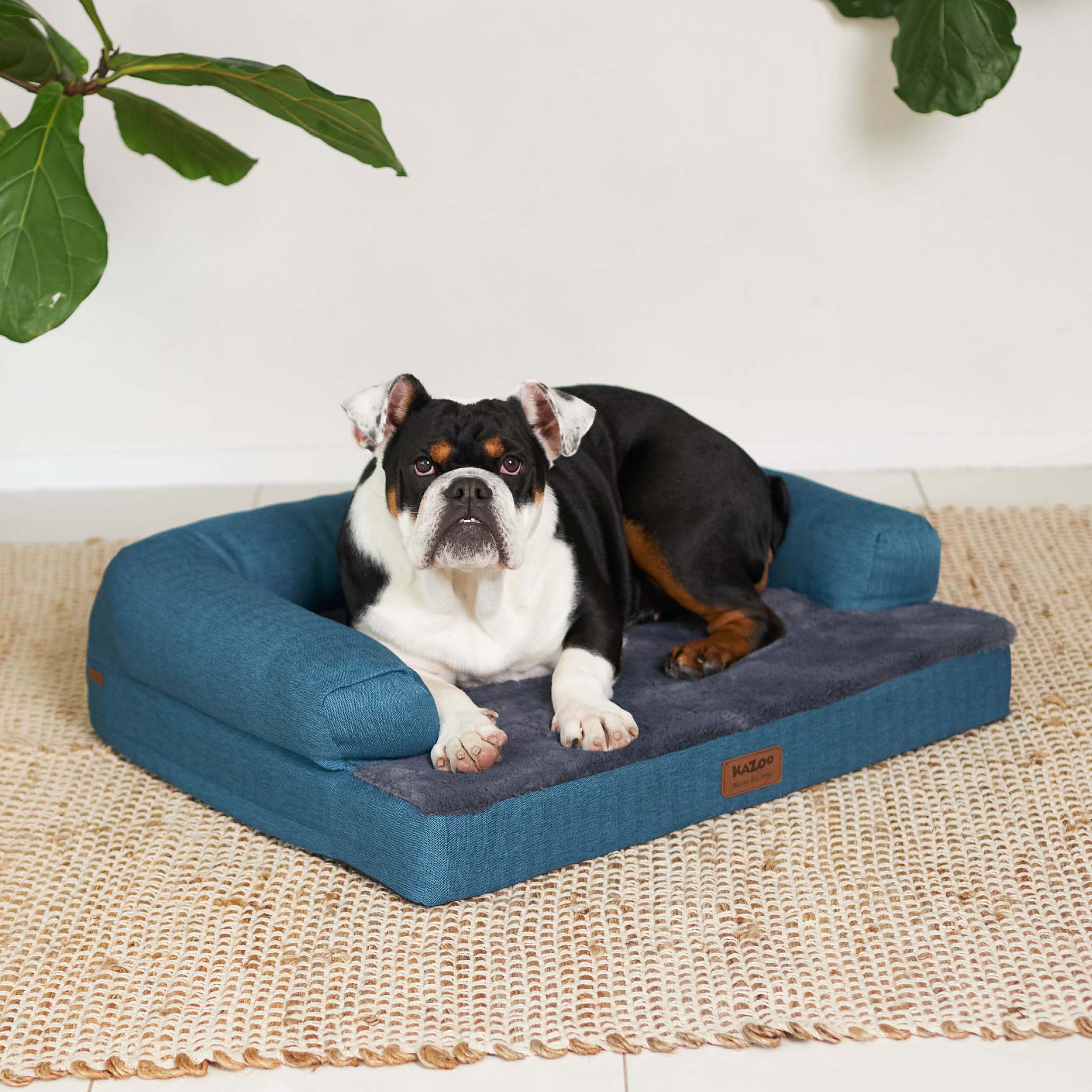 Kazoo Boudoir Medium Teal Dog Bed - Image 4