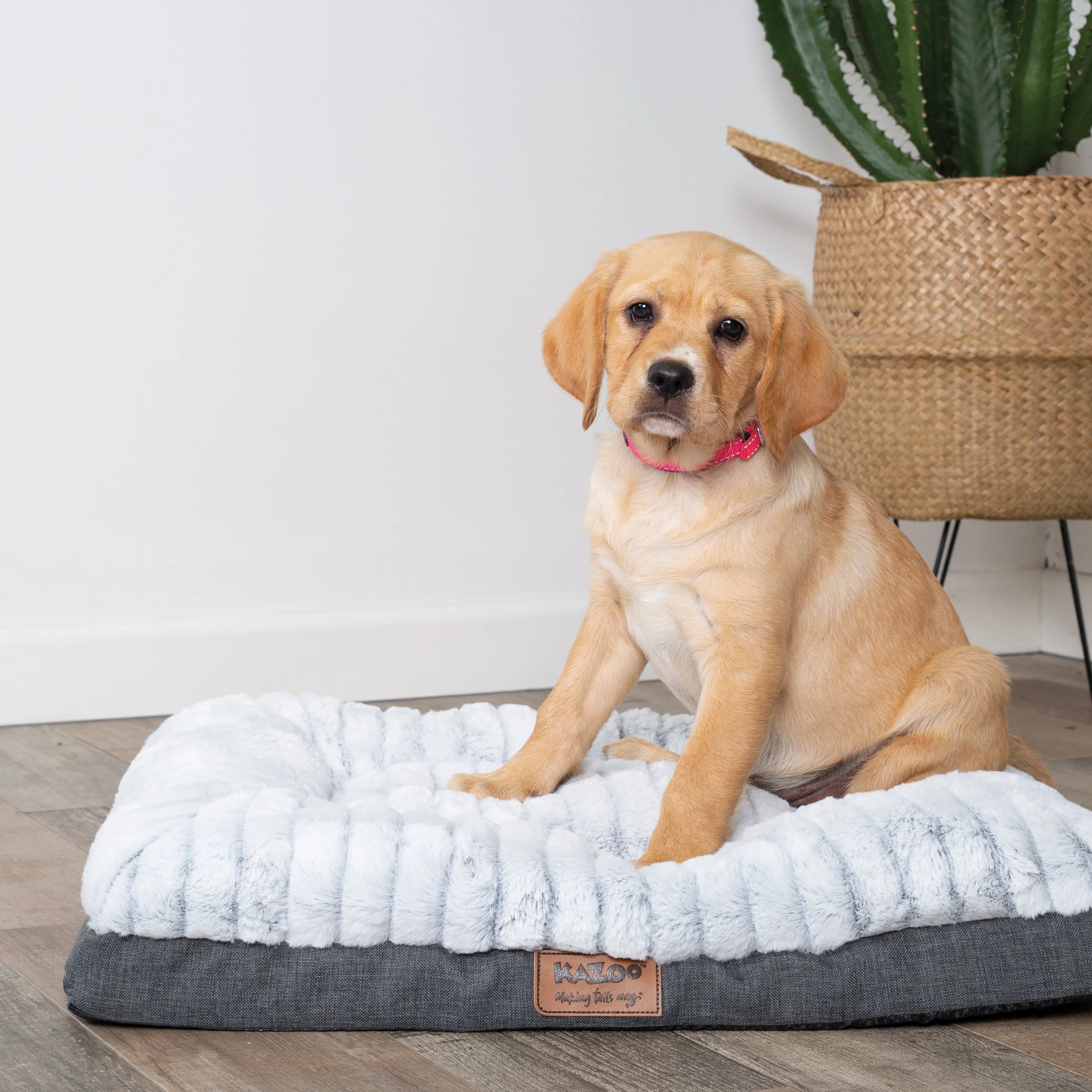 Kazoo Cloud Comfort Medium Grey Dog Bed - Image 3