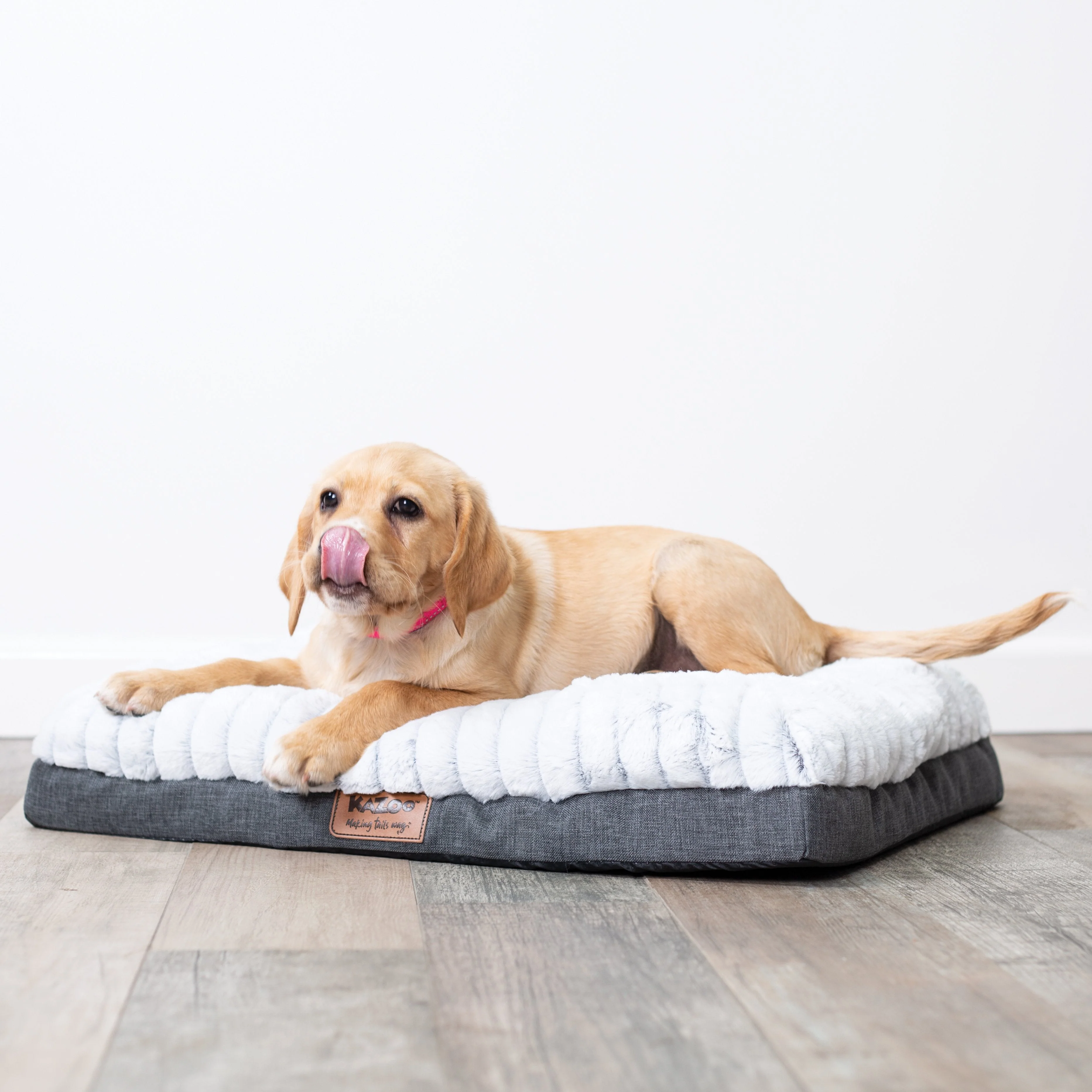 Kazoo Cloud Comfort Medium Grey Dog Bed - Image 4