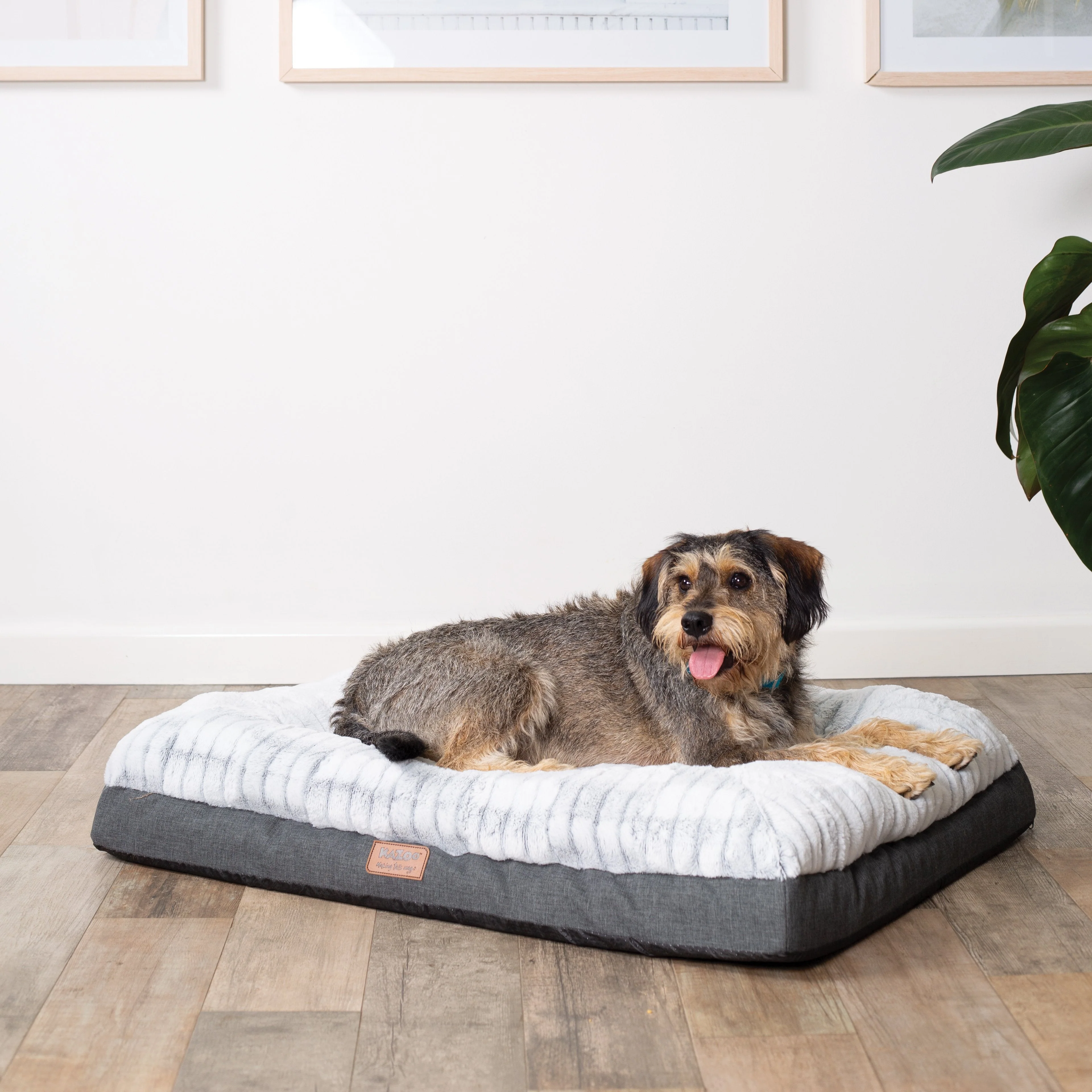 Kazoo Cloud Comfort Medium Grey Dog Bed - Image 6