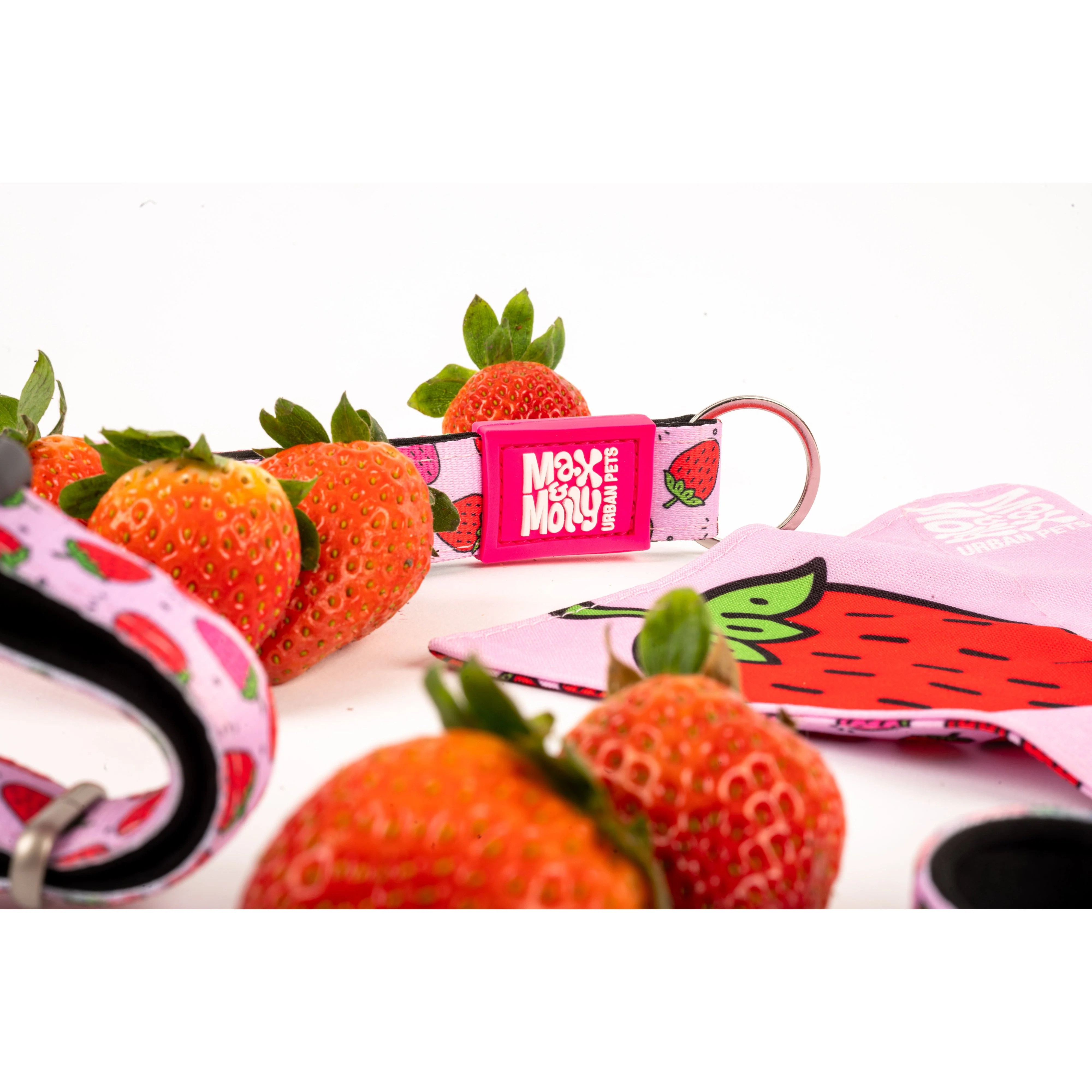 Max & Molly Strawberry Dream Smart ID Dog Collar Small - Image 5