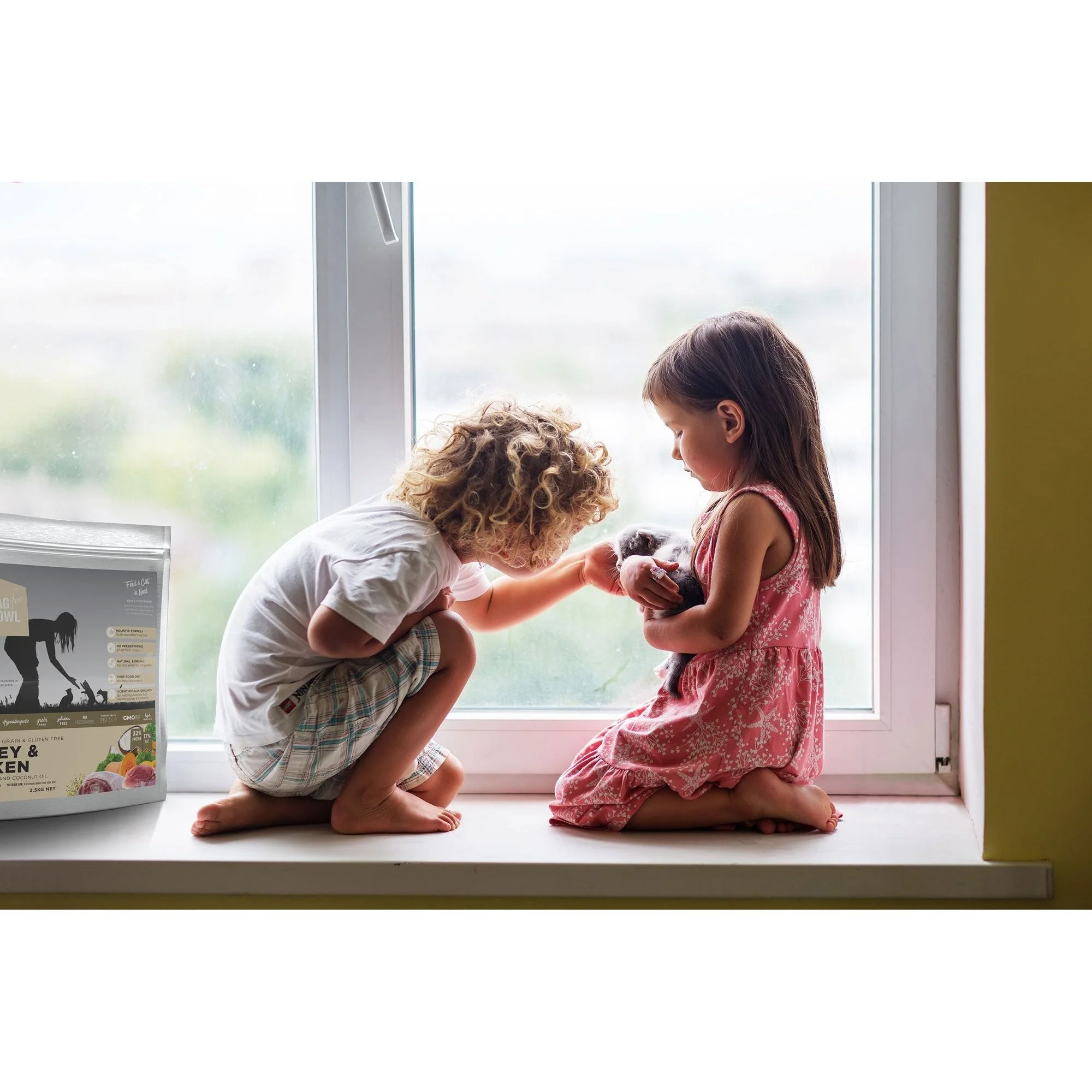 Meals for Meows Kitten Grain Free Chicken and Turkey Dry Cat Food 2.5kg - Image 4