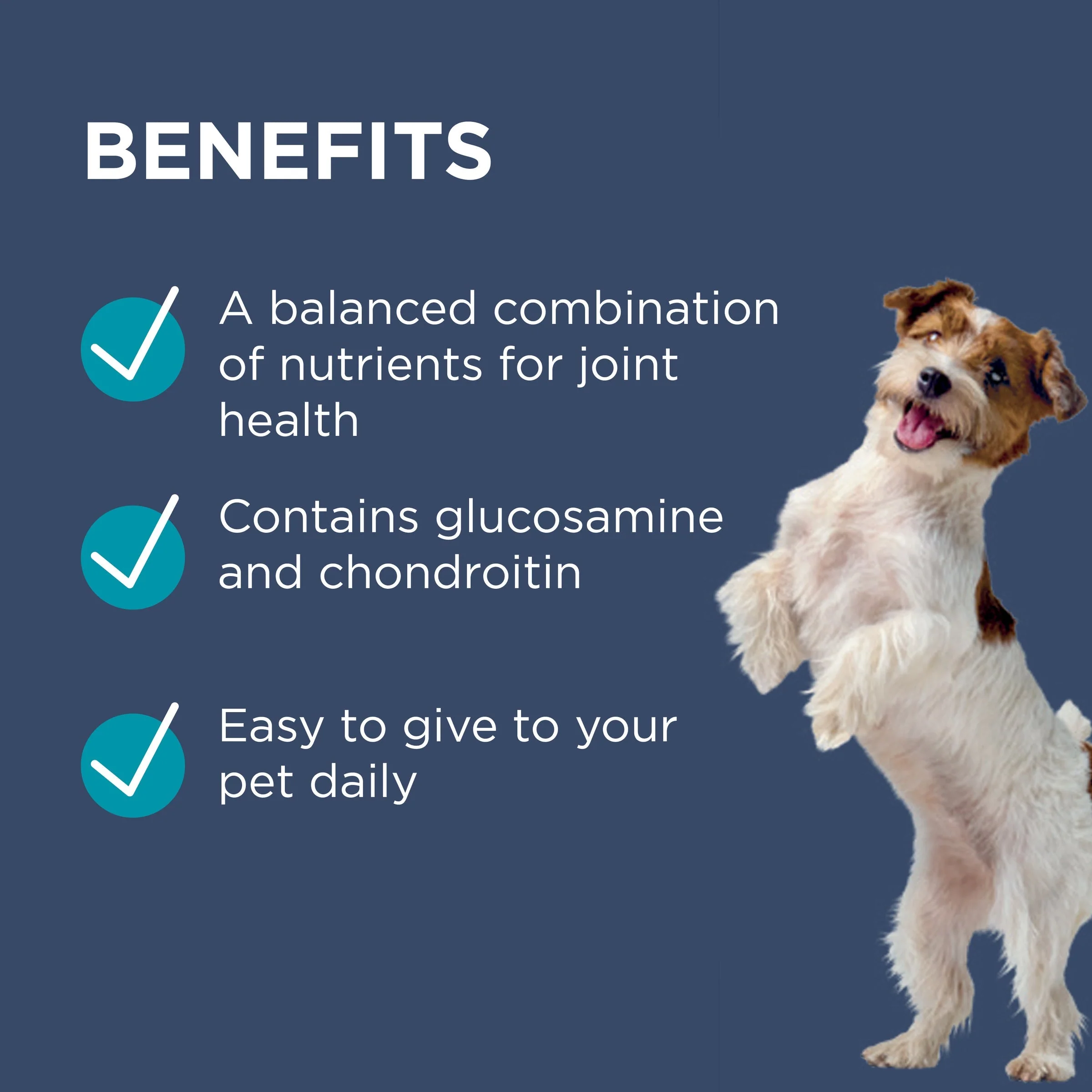 PAW by Blackmores Osteocare Joint Protect Small Chews for Dogs 75g - Image 4