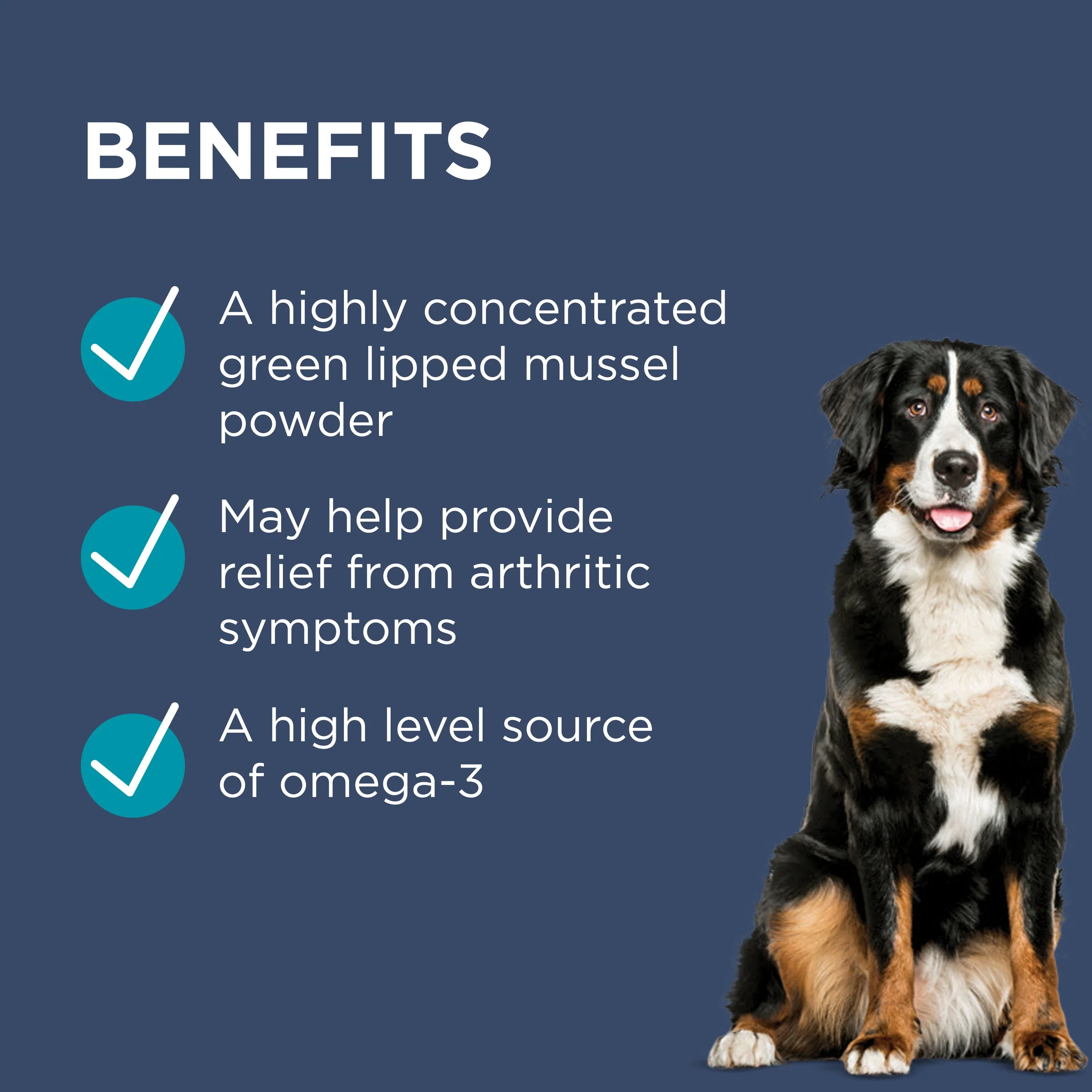 PAW by Blackmores Osteosupport Joint Care Powder Capsules for Dogs 80 Pack - Image 6