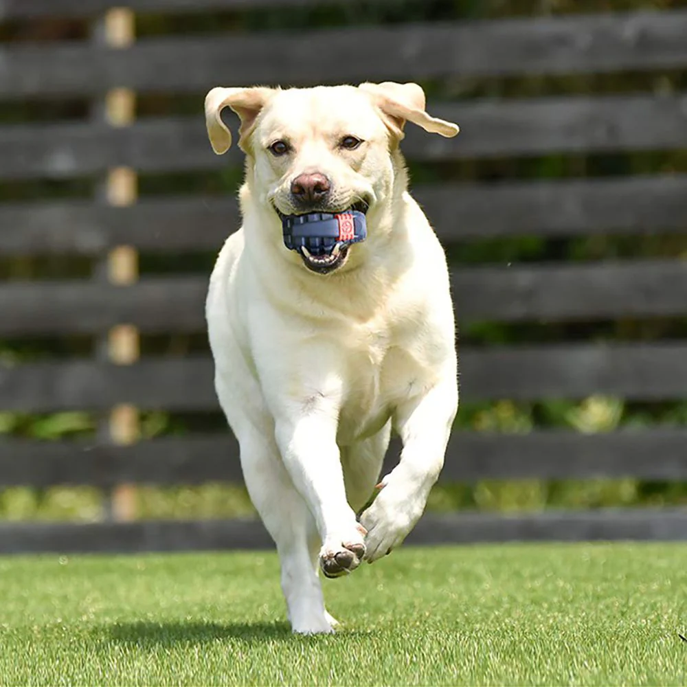 Petopia Tough Hand Grenade Rubber Dog Toy - Image 7