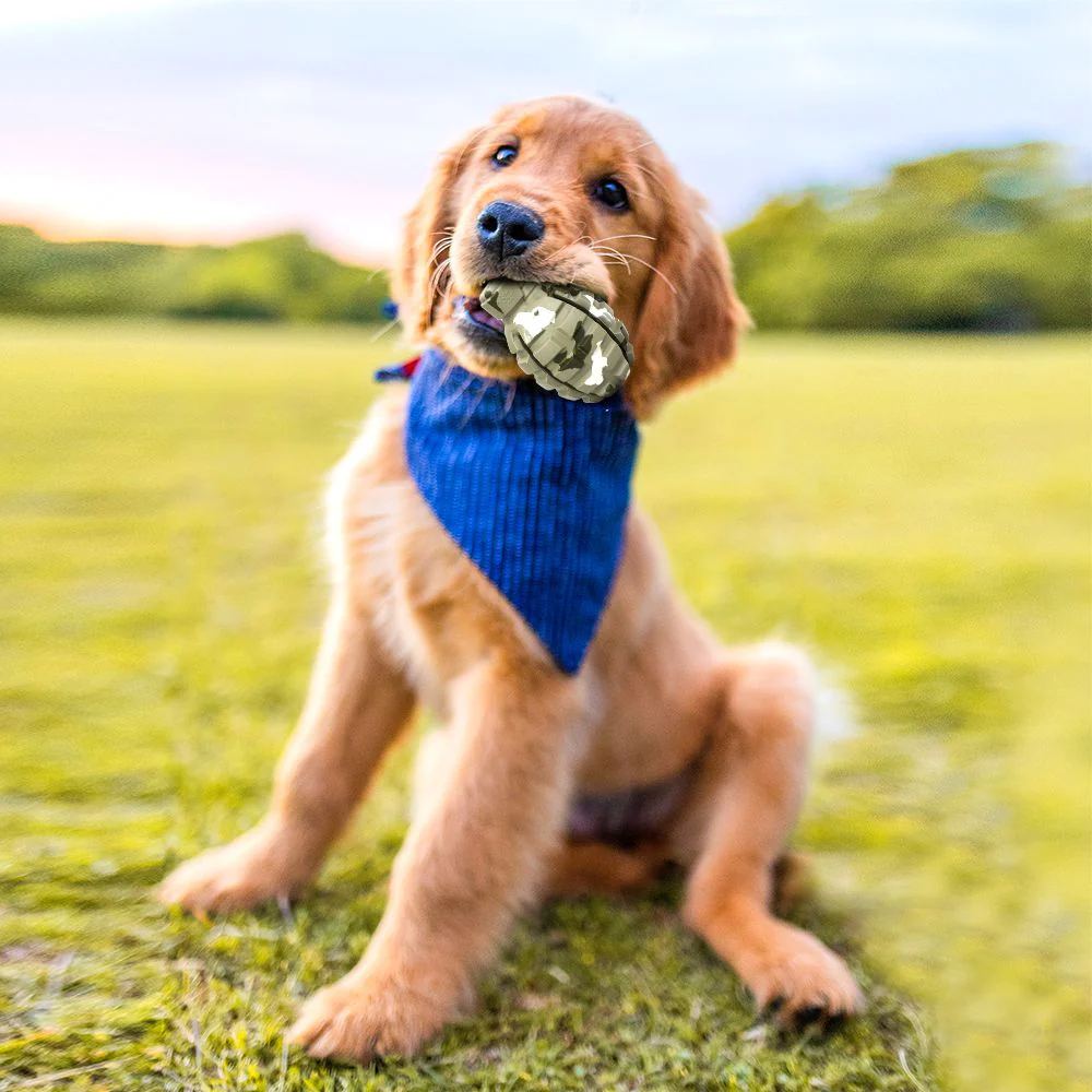 Petopia Tough Hand Grenade Rubber Dog Toy - Image 8