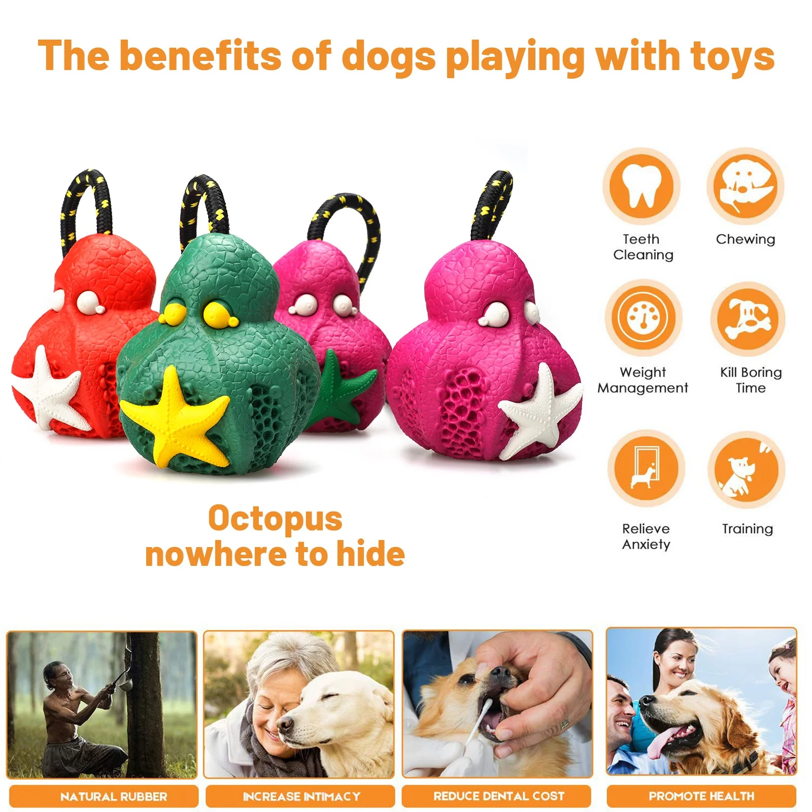 Petopia Tough Reef Octopus with Rope Large Rubber Dog Toy Assorted Colours - Image 6