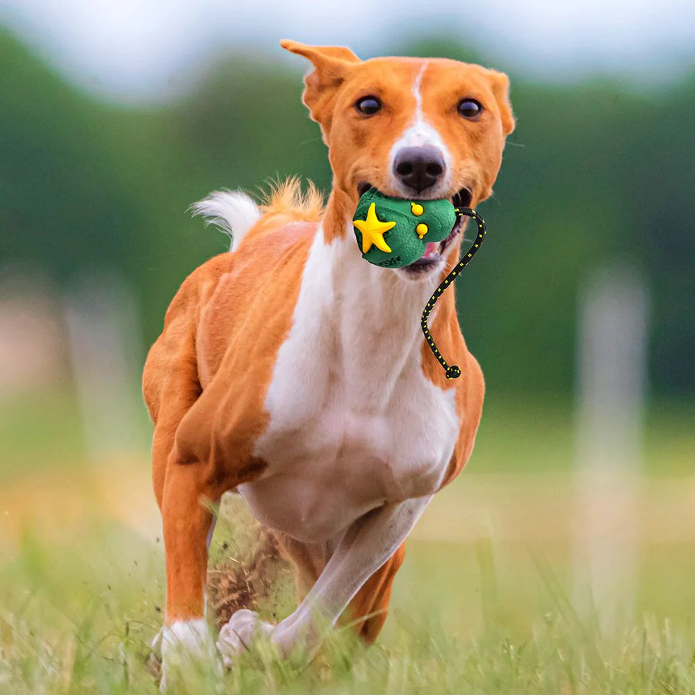 Petopia Tough Reef Octopus with Rope Large Rubber Dog Toy Assorted Colours - Image 8
