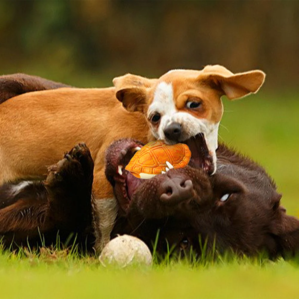 Petopia Tough Titan Turtle with Rope Large Rubber Dog Toy Assorted Colours - Image 6