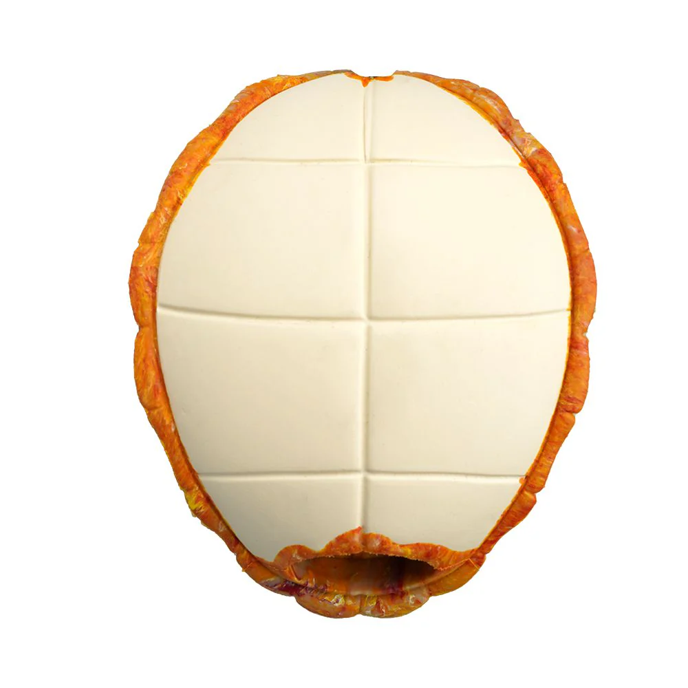 Petopia Tough Titan Turtle with Rope Large Rubber Dog Toy Assorted Colours - Image 9