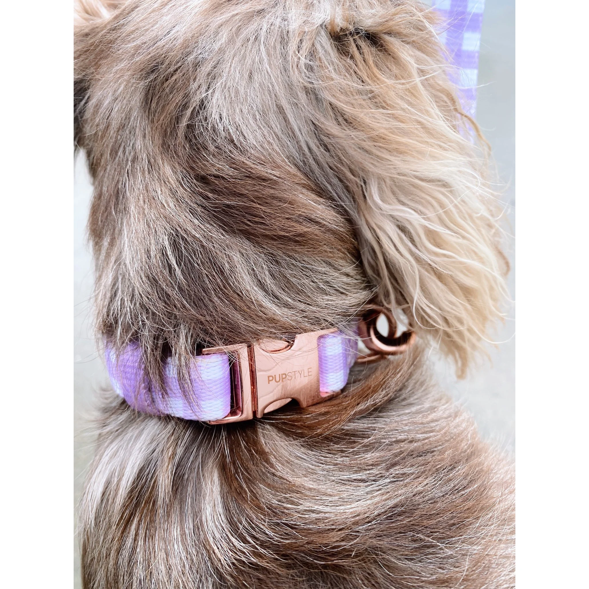Pupstyle Suburban Berry Milkshake Dog Collar Large - Image 3