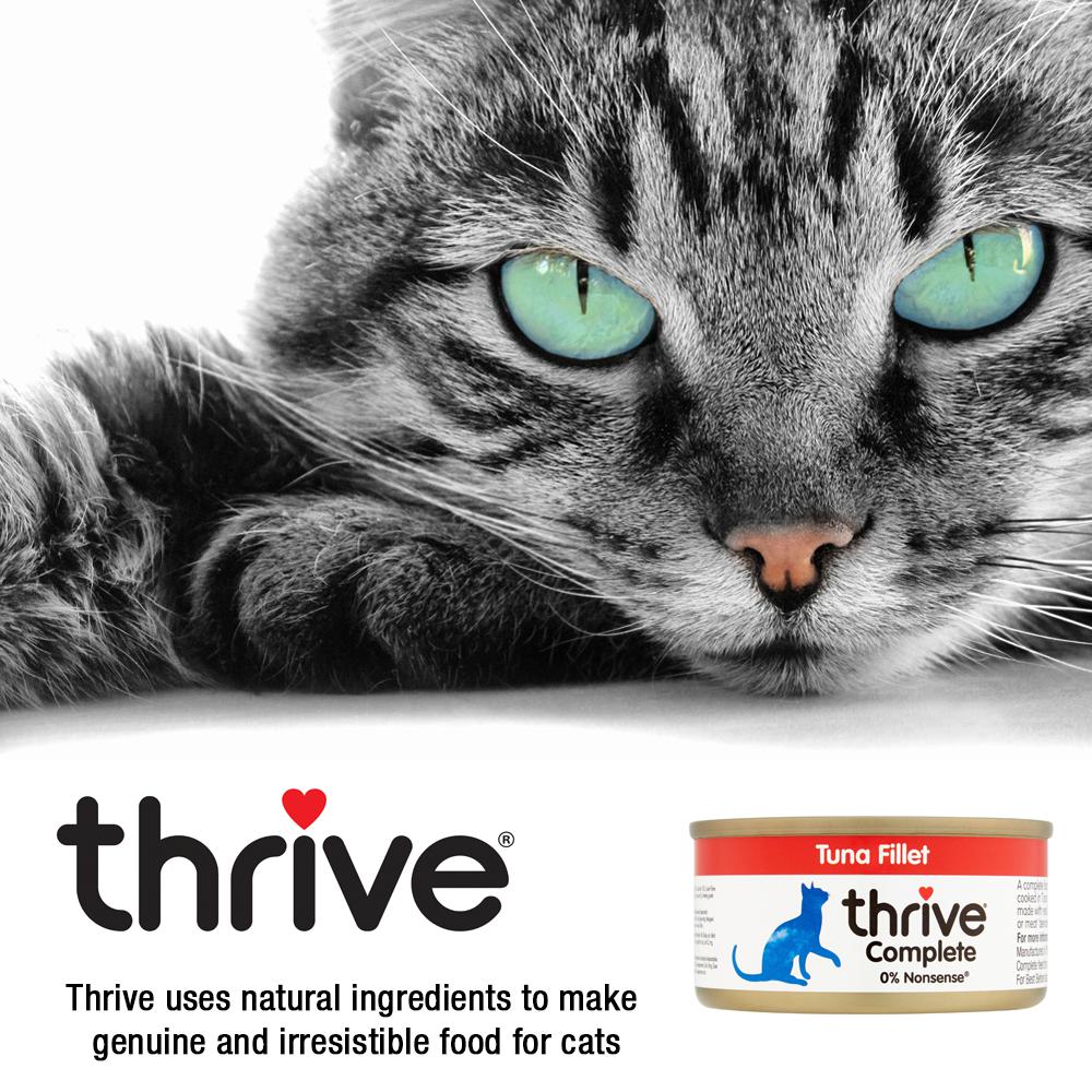 Thrive Chicken and Turkey Wet Cat Food 75g x 12 - Image 6