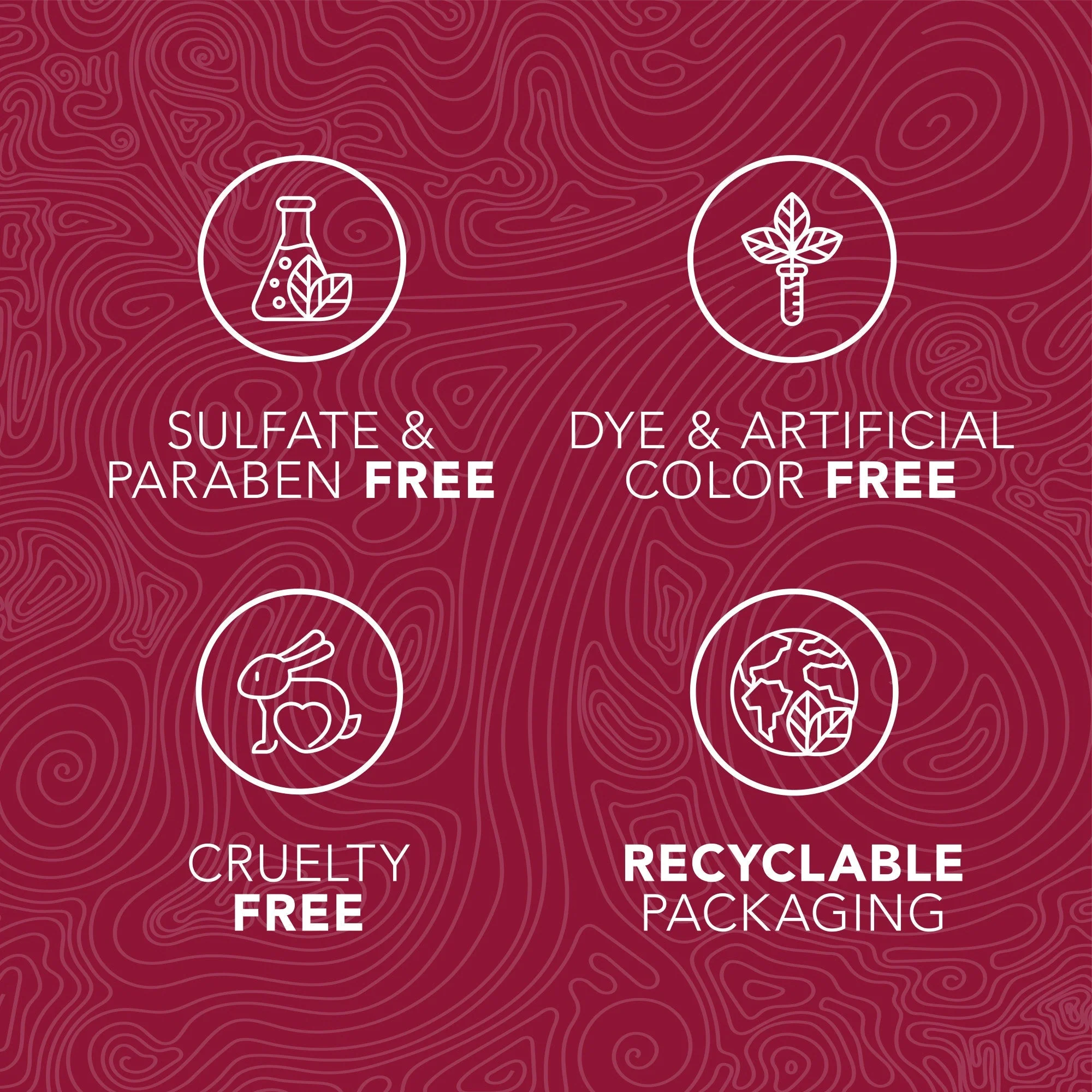 Tropiclean Enticers Fresh Breath Oral Care Kit Hickory Smoked Bacon for Large Dogs - Image 4