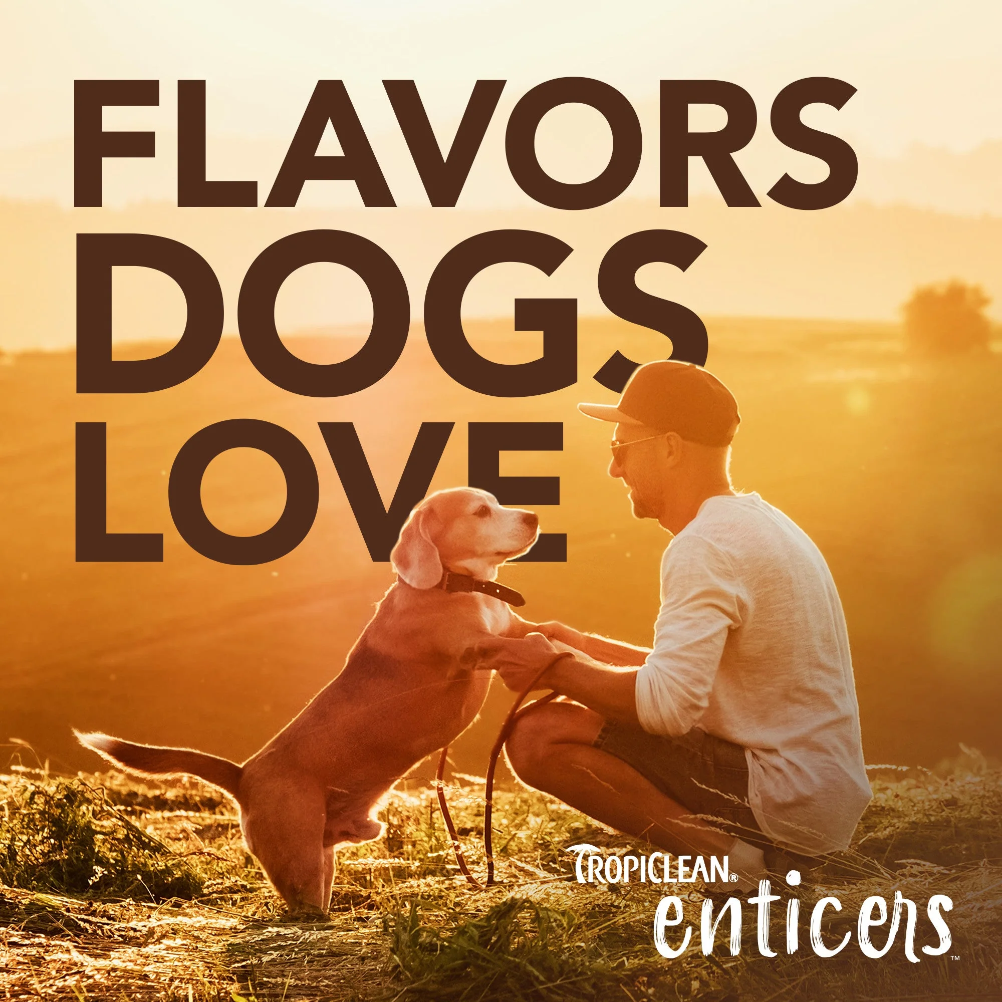 Tropiclean Enticers Fresh Breath Oral Care Kit Hickory Smoked Bacon for Large Dogs - Image 9