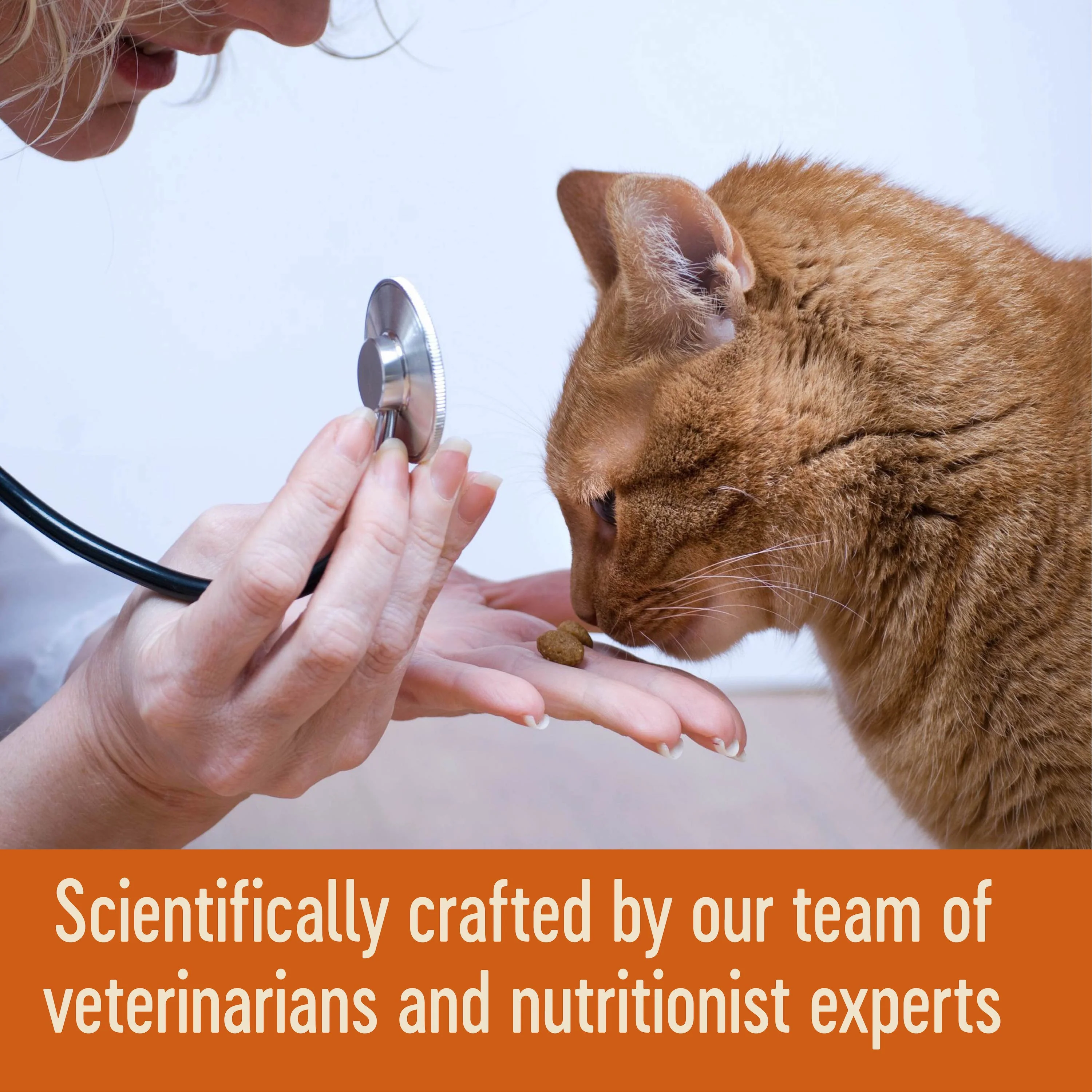 Wellness CORE Tender Cuts with Chicken and Salmon in Gravy Wet Cat Food 85g x 8 - Image 7