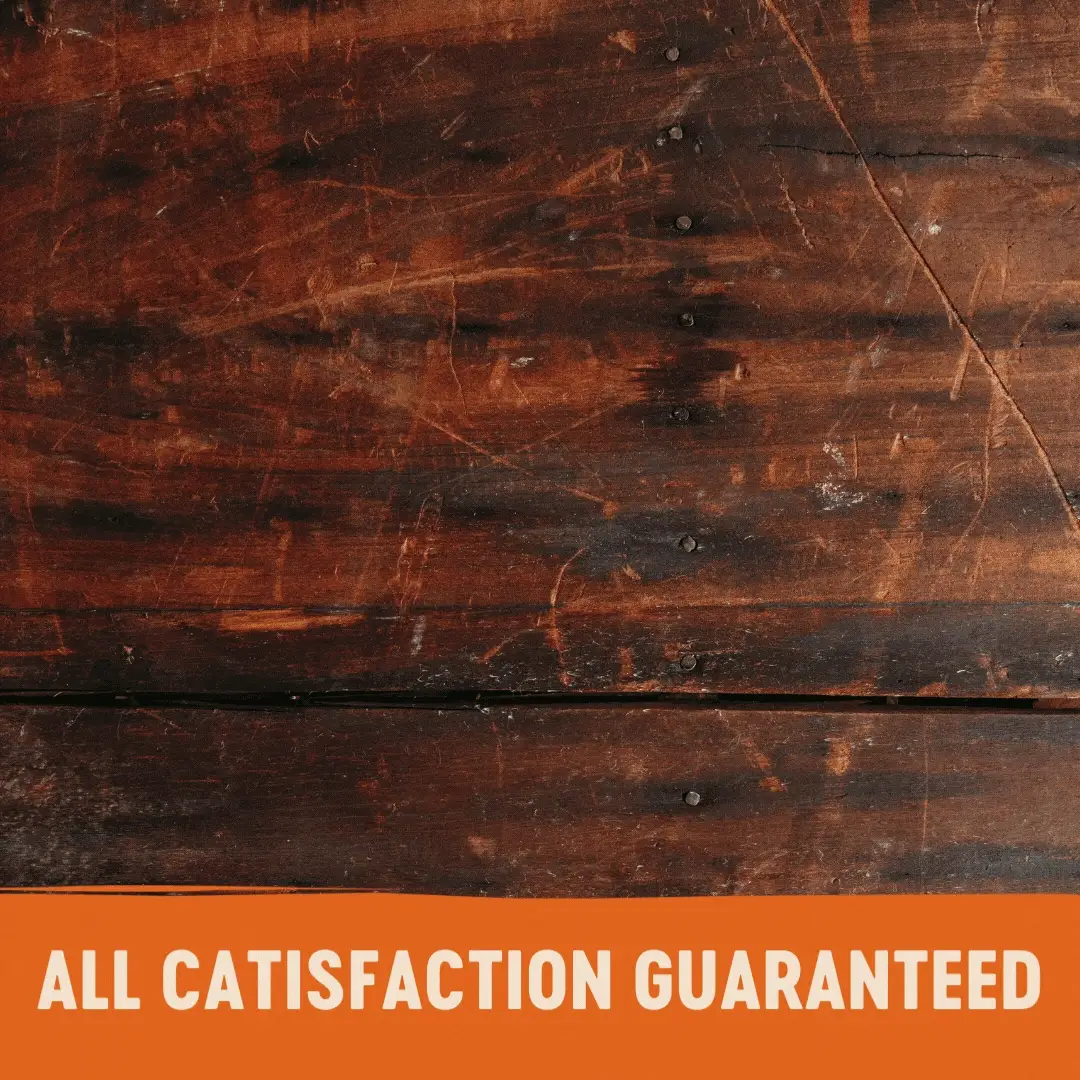 Wellness CORE Tender Cuts with Chicken and Salmon in Gravy Wet Cat Food 85g x 8 - Image 8