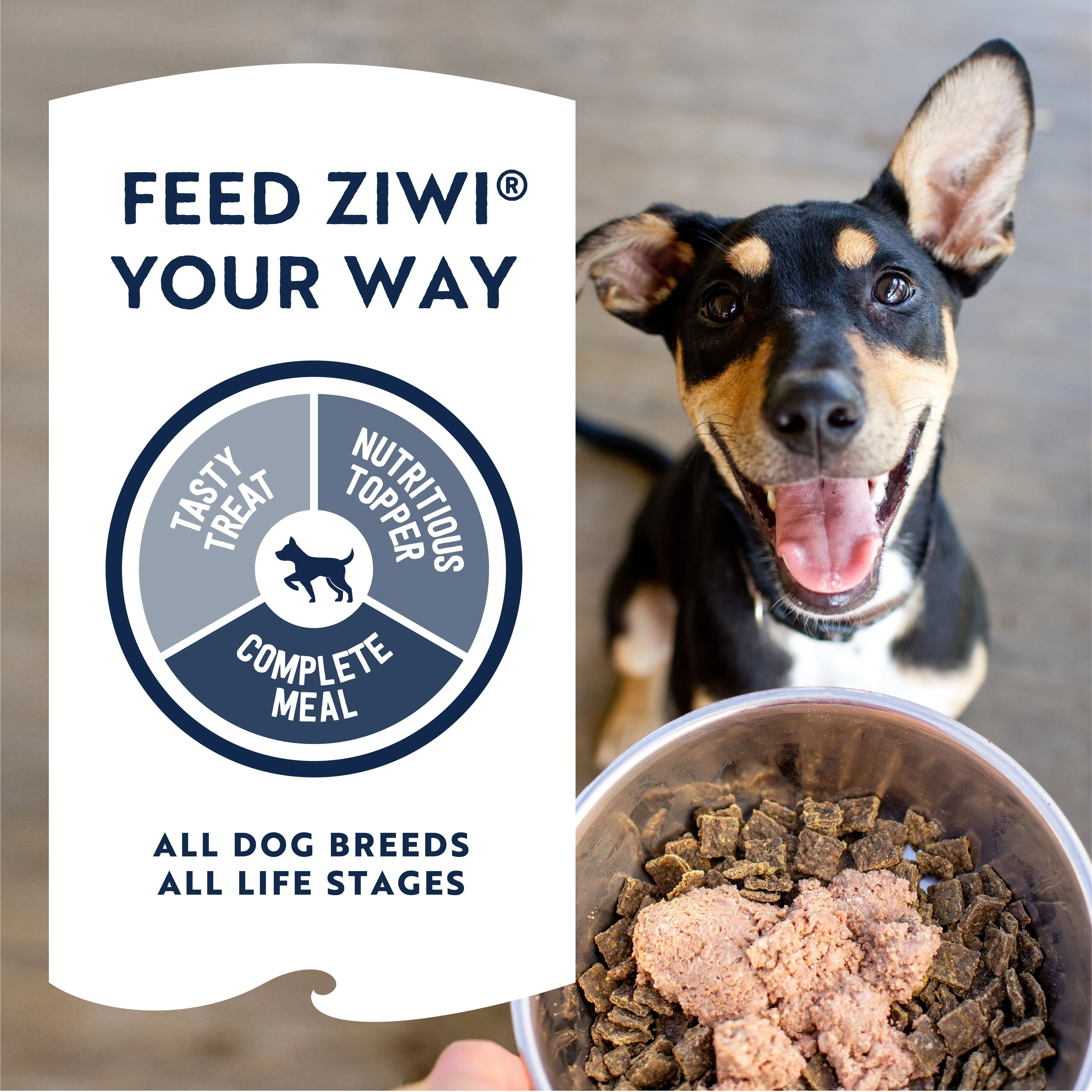 ZIWI Peak Wet Beef Recipe Dog Food 390g x 12 - Image 6