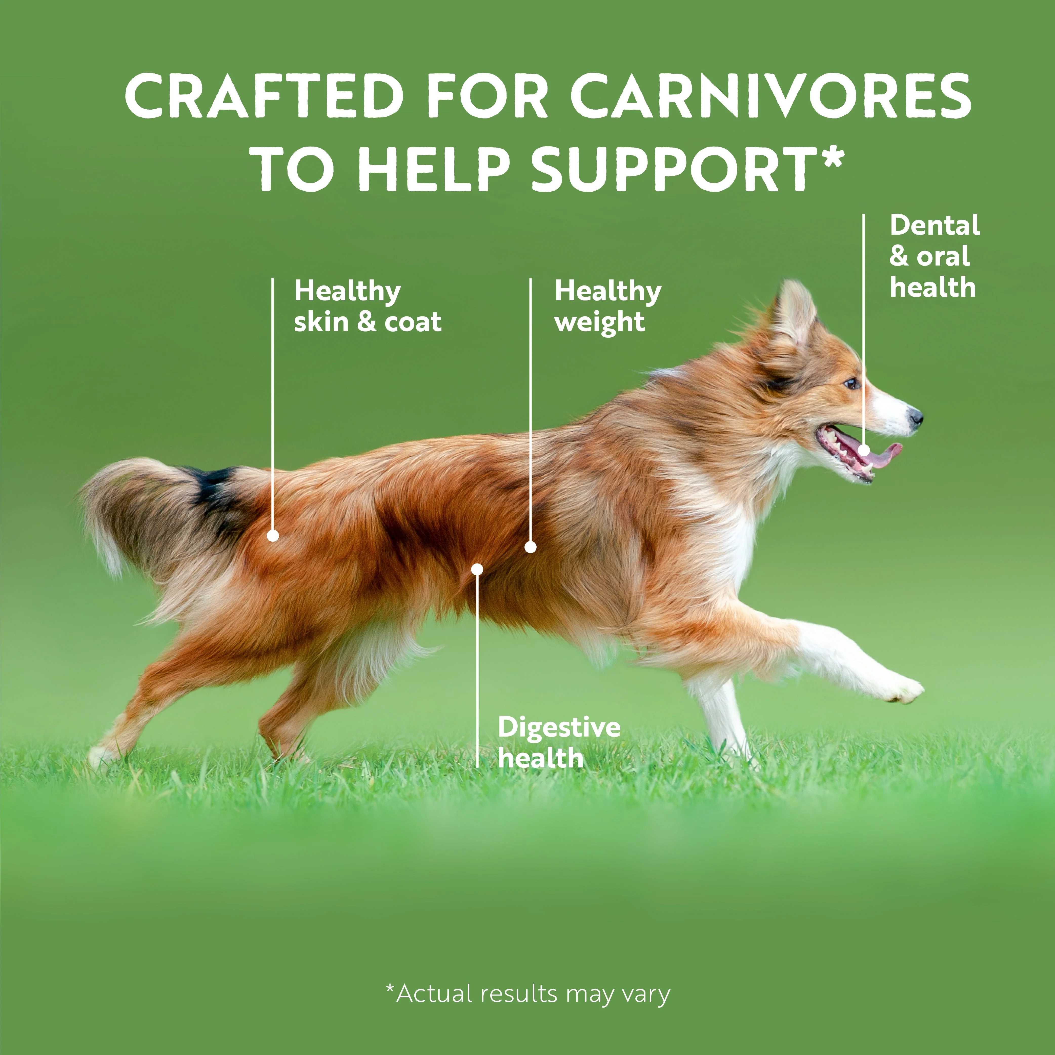 ZIWI Peak Wet Lamb Recipe Dog Food 390g x 12 - Image 6